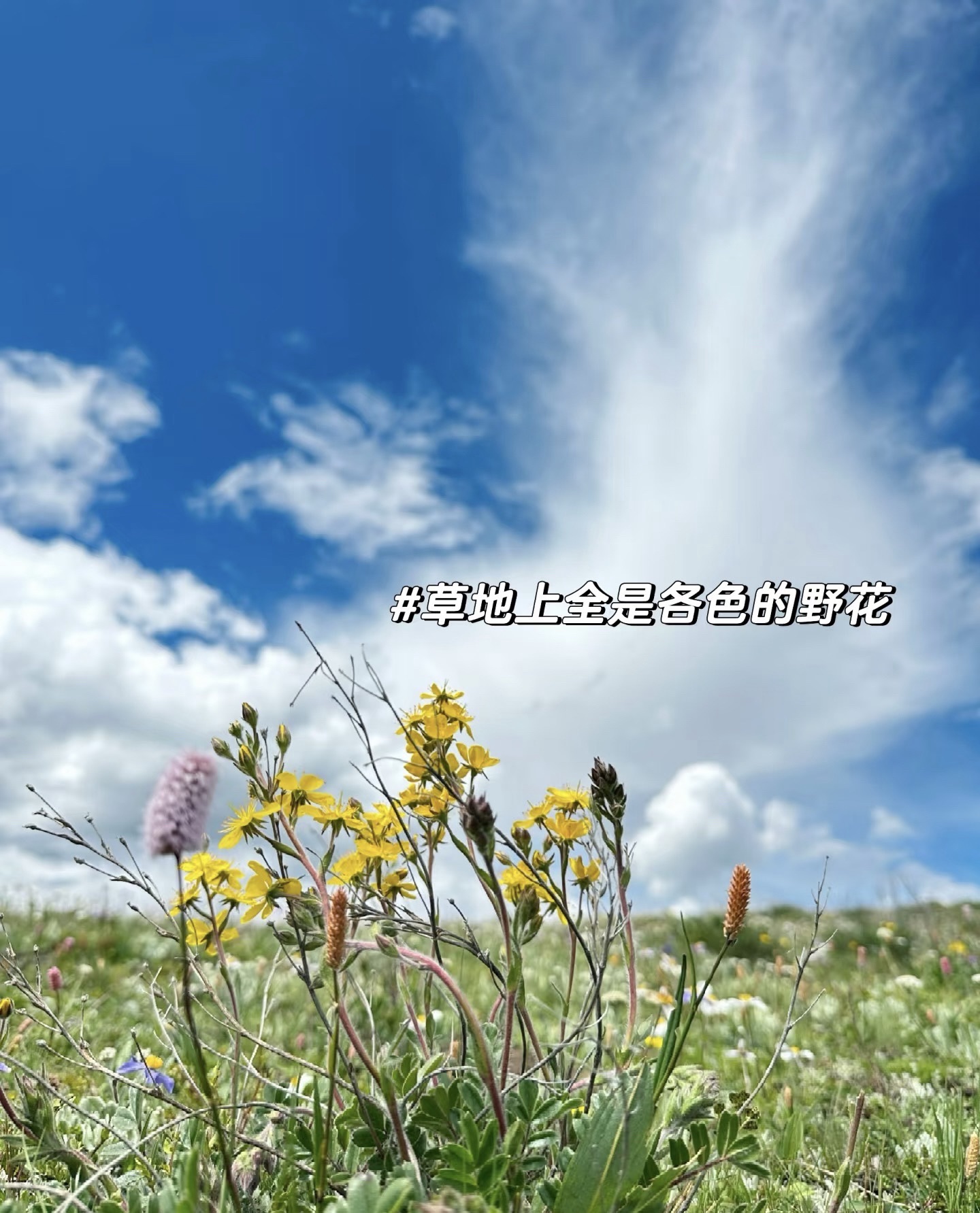 泽桑拉空中花园旅行图片 2