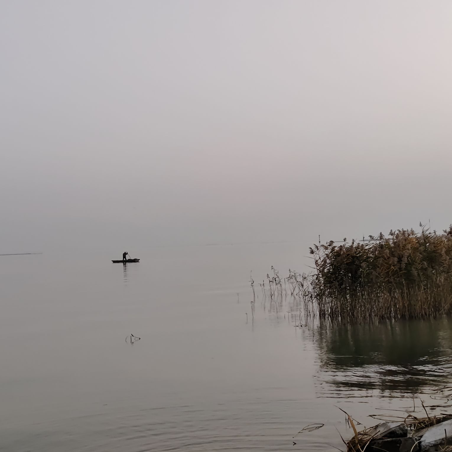 临淮镇洪泽湖大堤(听涛漫步)旅行图片 2