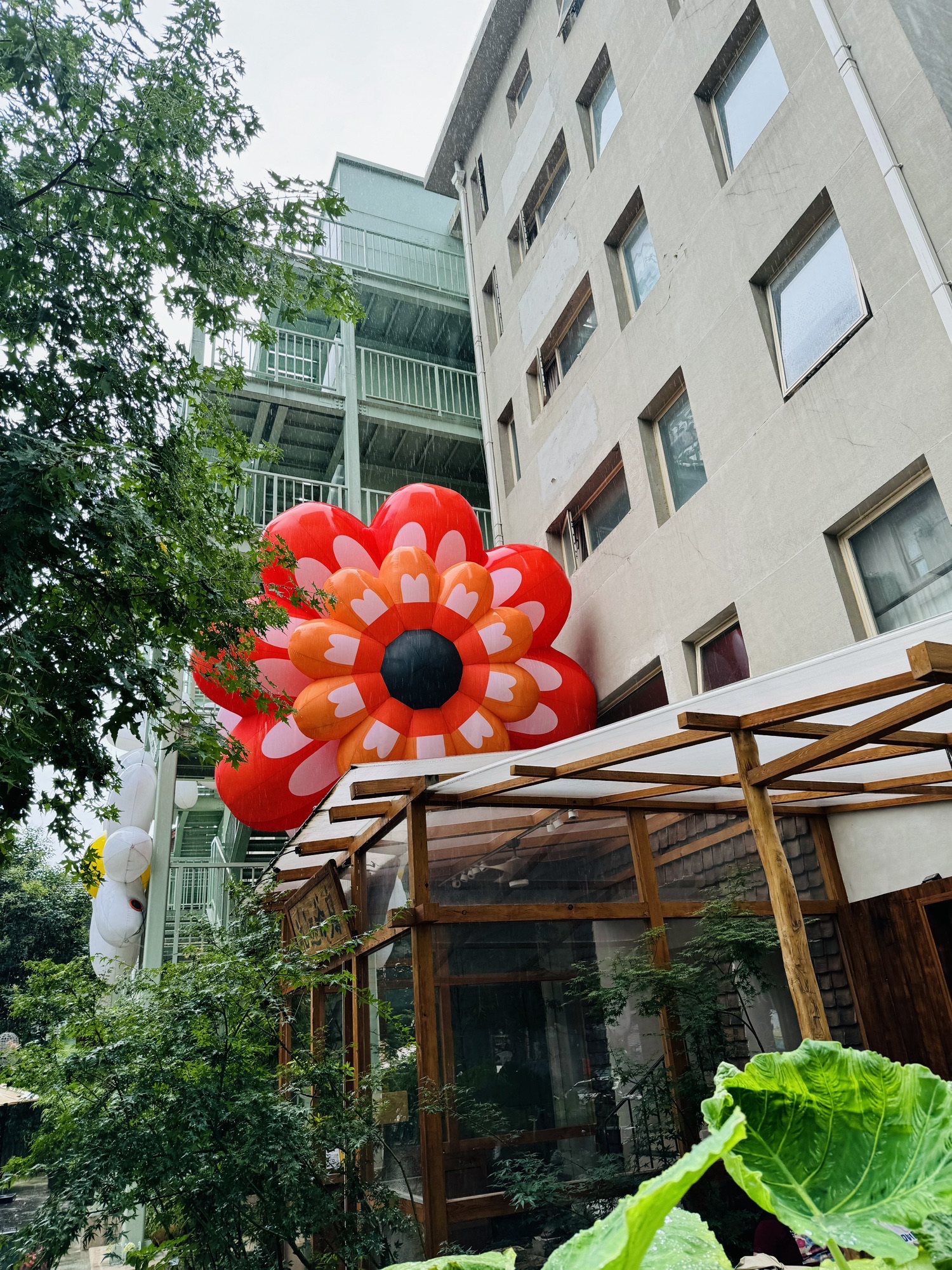 花迹科巷旅行图片 2