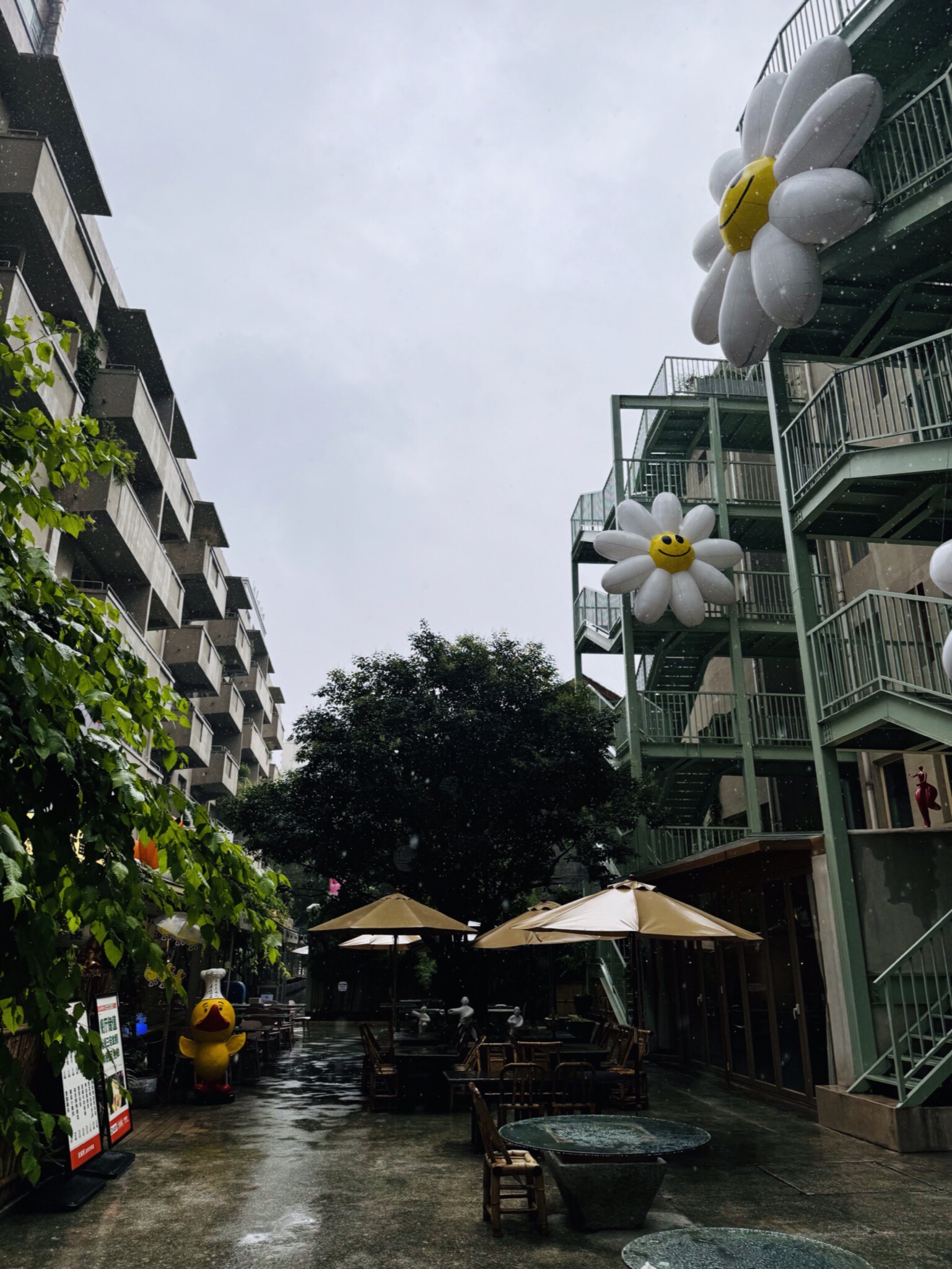 花迹科巷旅行图片 3