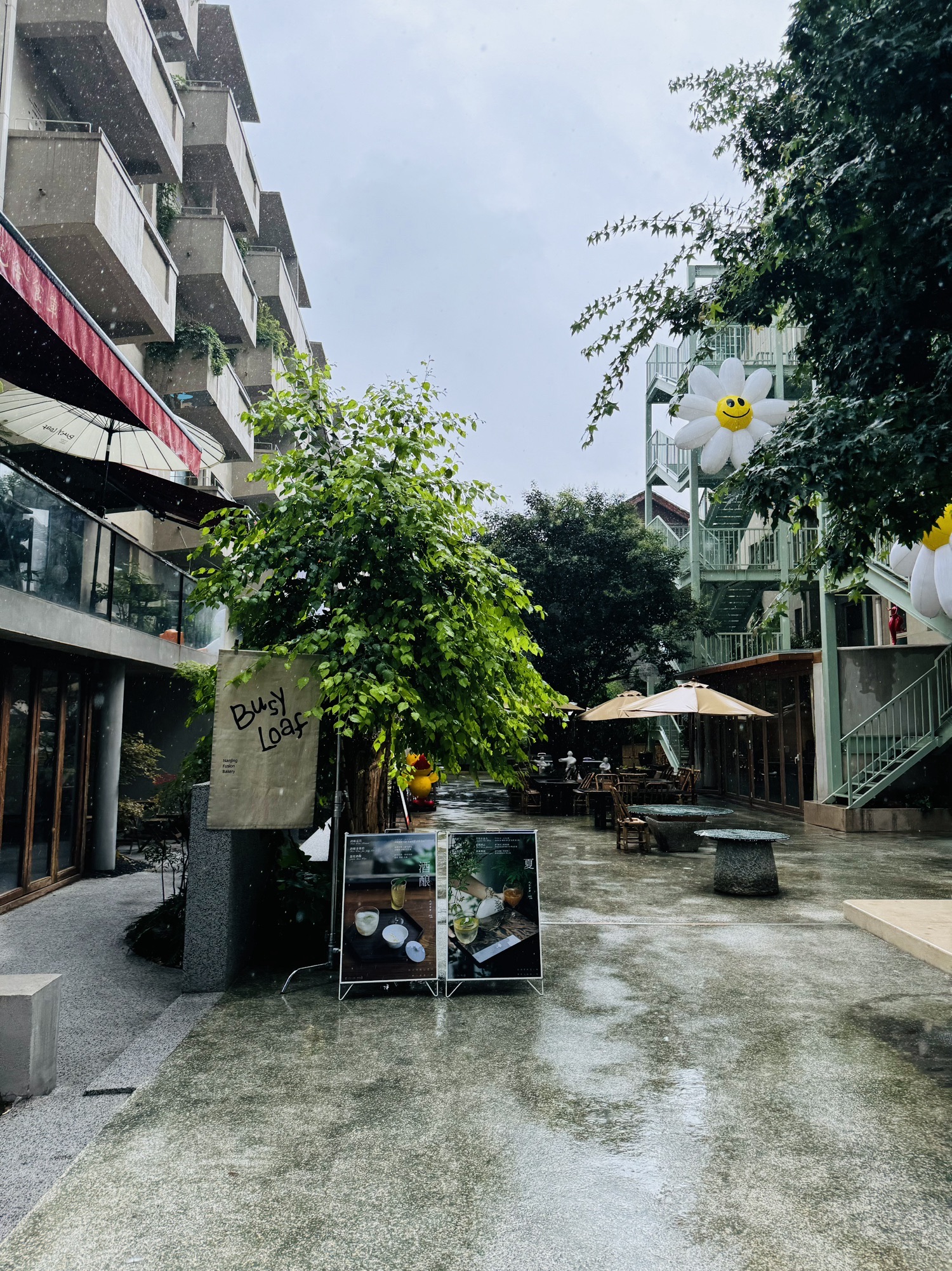 花迹科巷旅行图片 3