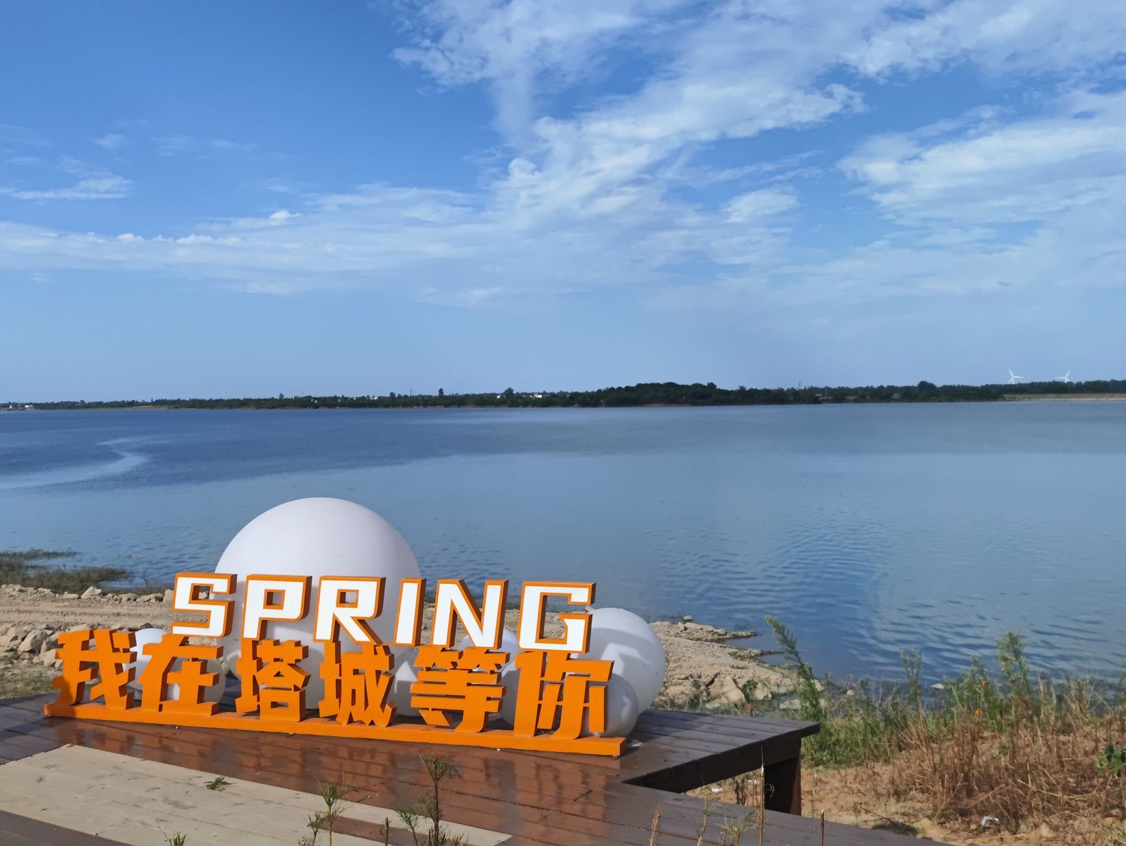 长堤花海旅行图片 3