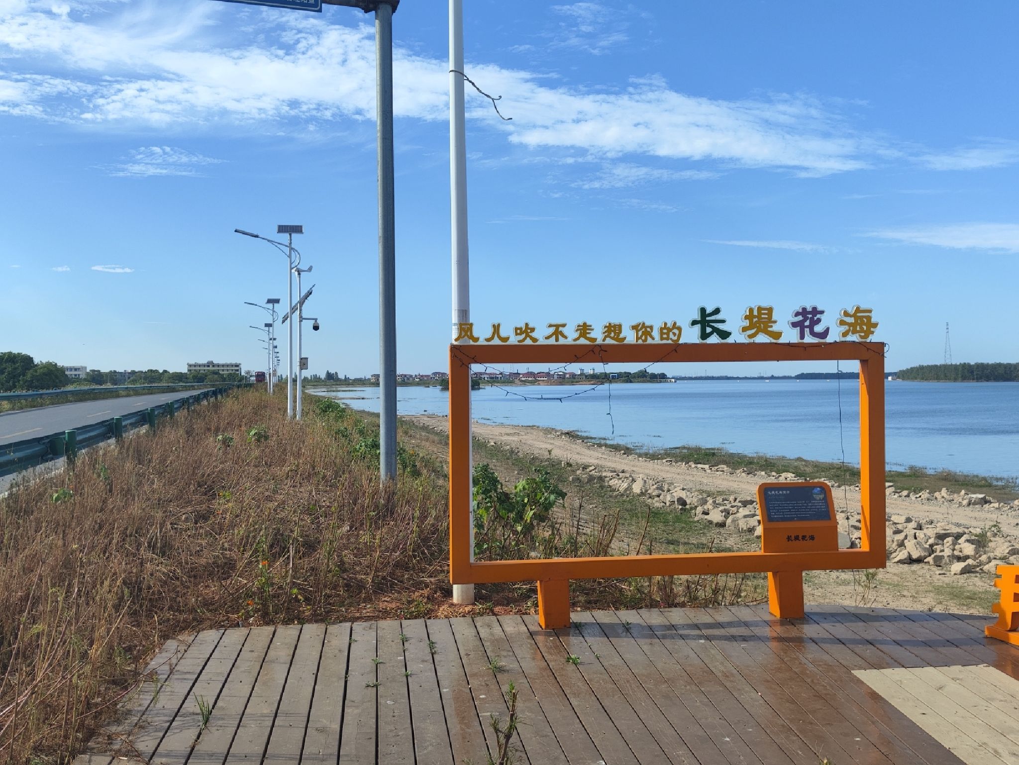 长堤花海旅行图片 1