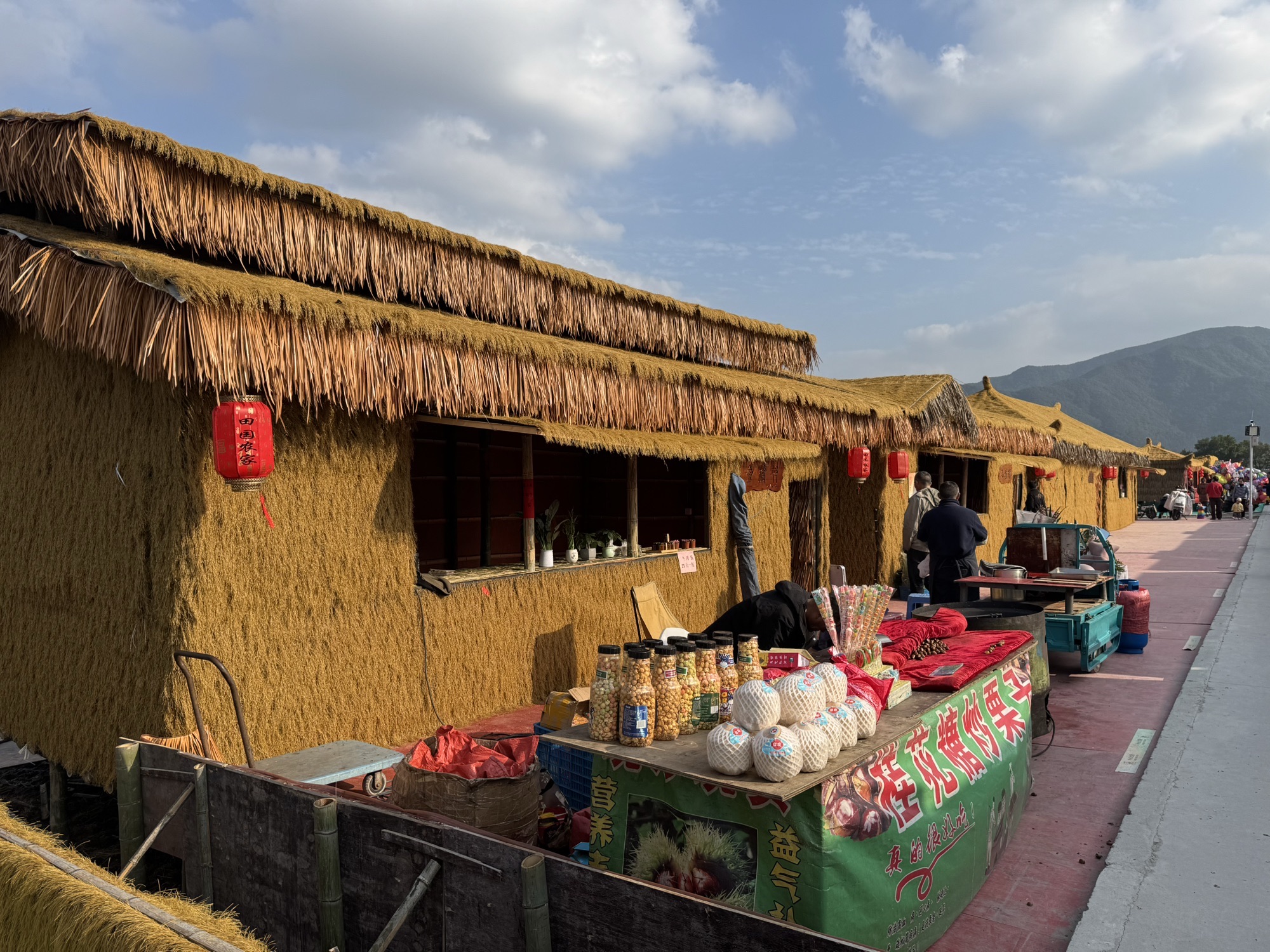 麦田火车旅行图片 3