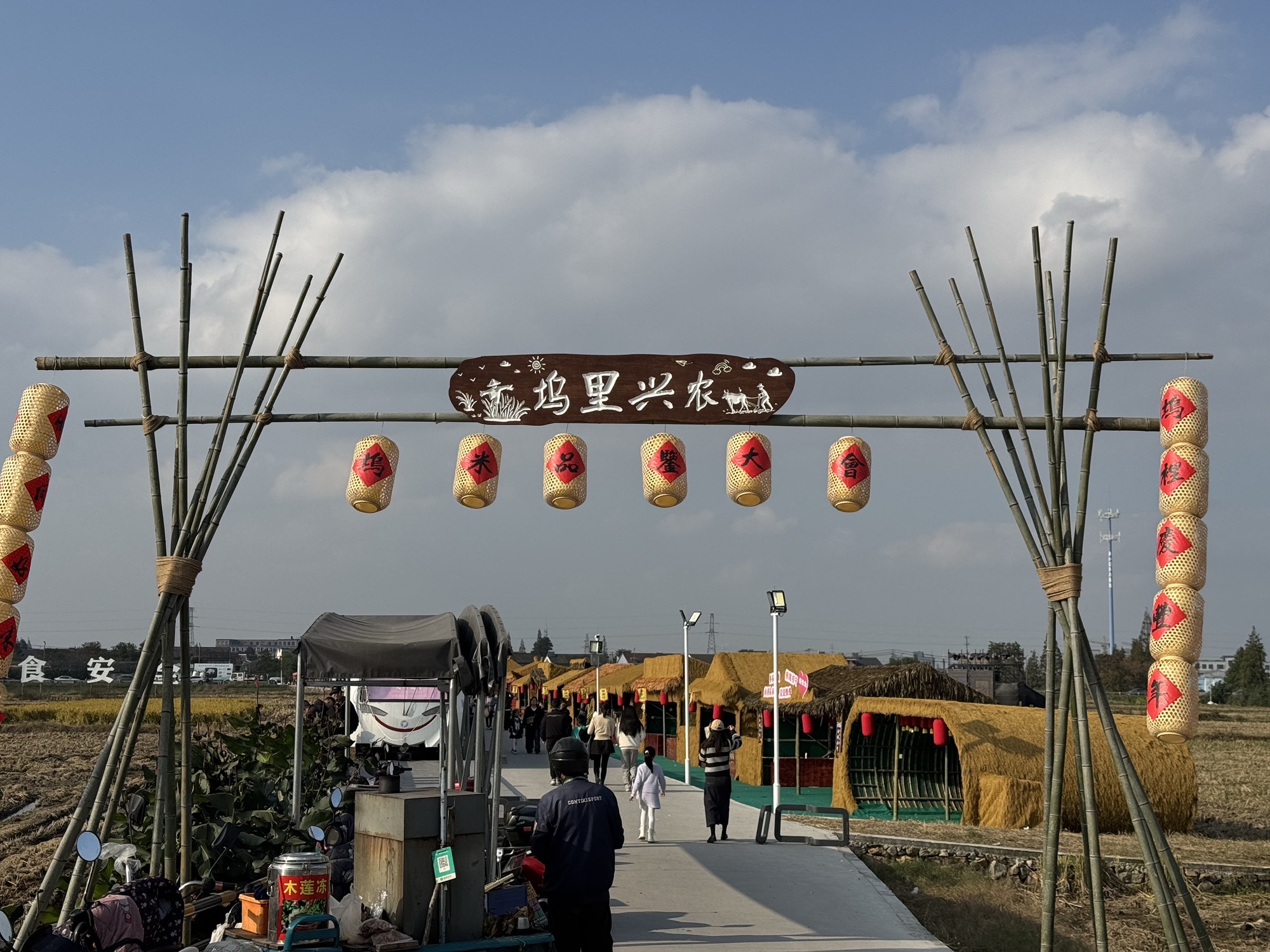 麦田火车旅行图片 2
