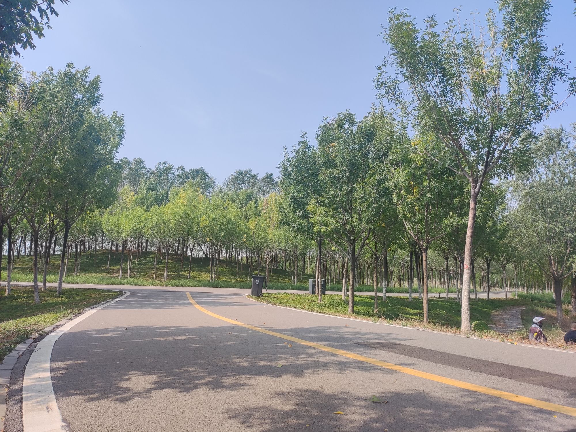 古海岸湿地绿廊旅行图片 2