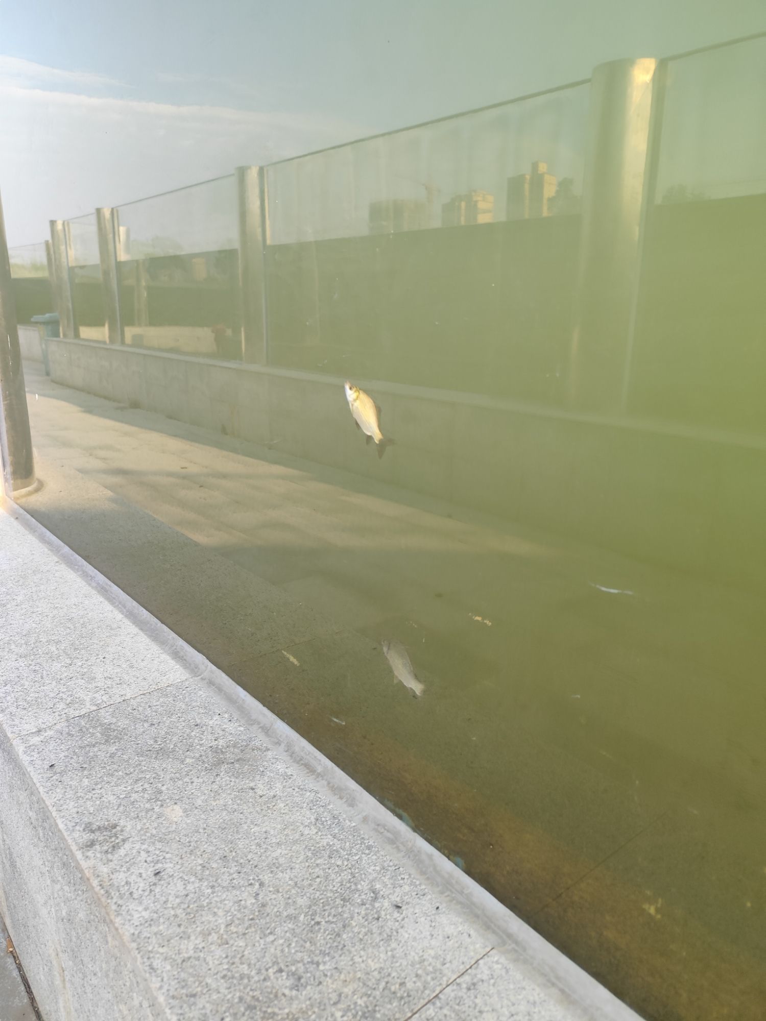 人民公园沉水廊道旅行图片 2