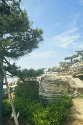 人民公园沉水廊道旅行图片 2