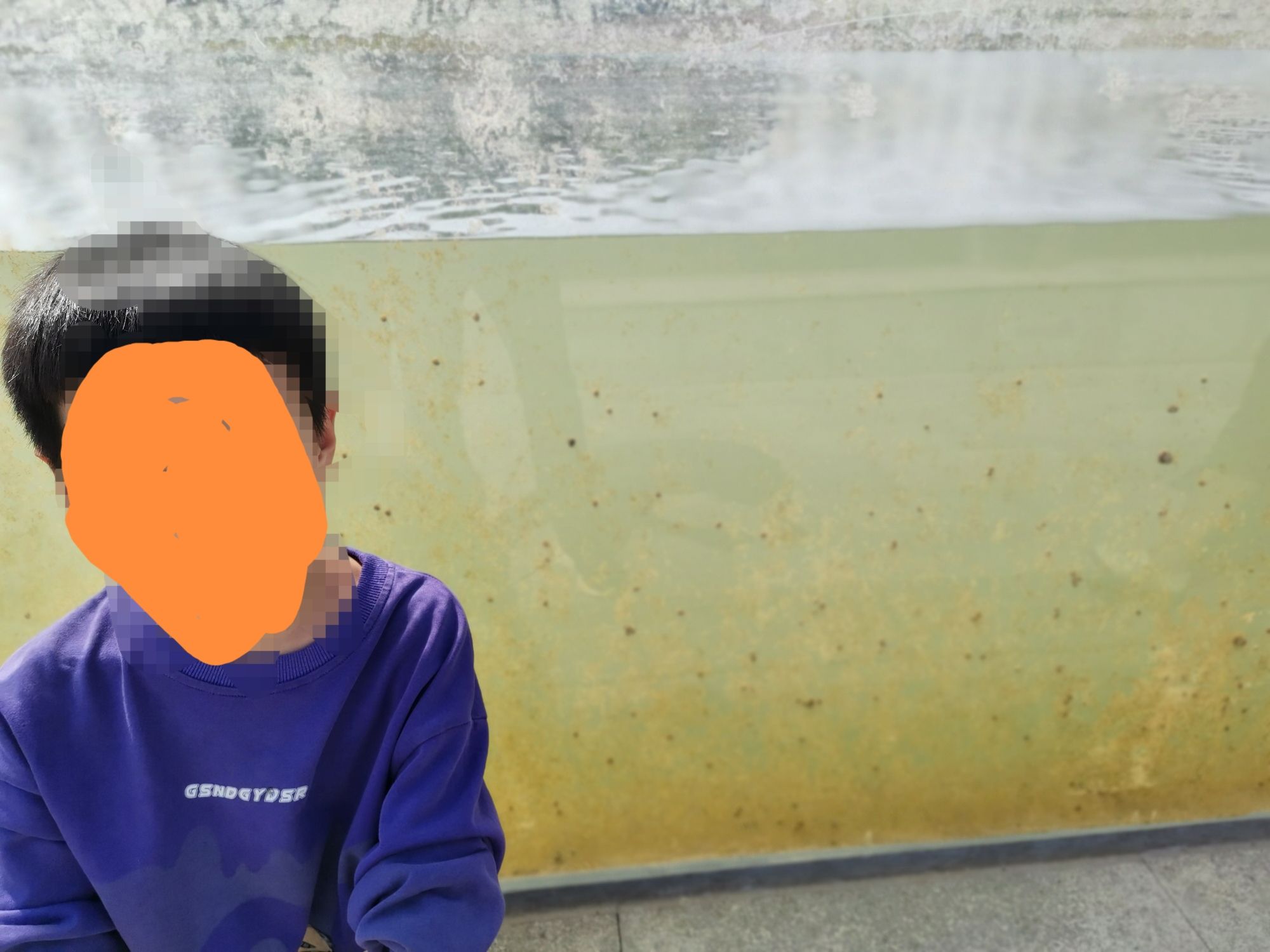 人民公园沉水廊道旅行图片 1