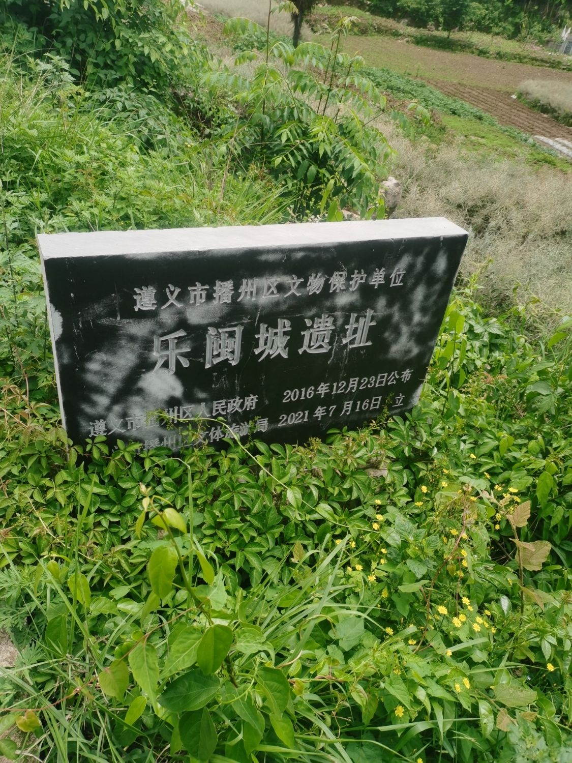 乐闽城遗址旅行图片