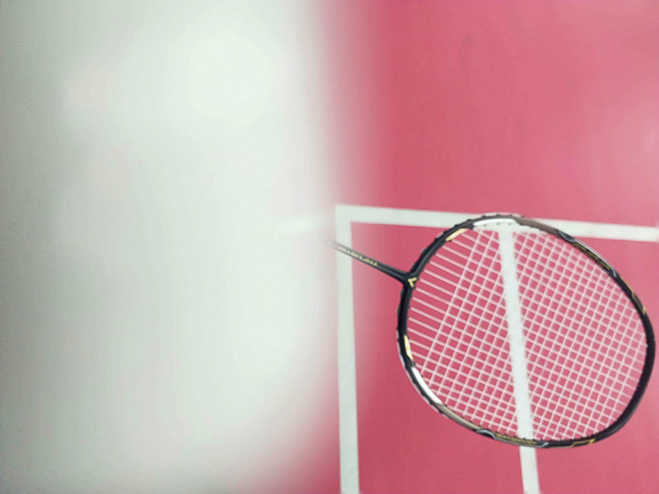 场地封面-狄娜体育羽毛球篮球培训(珠市口校区)