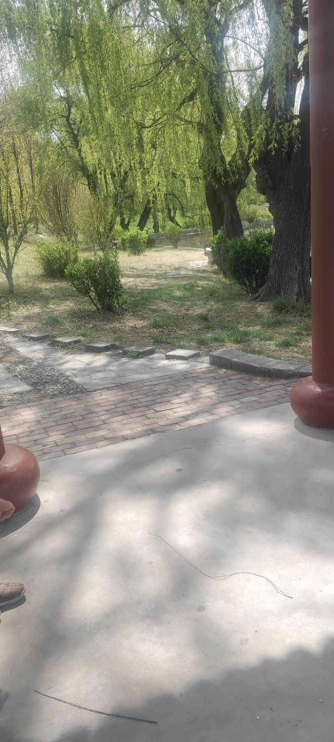 东莞镇应急休闲公园旅行图片 1