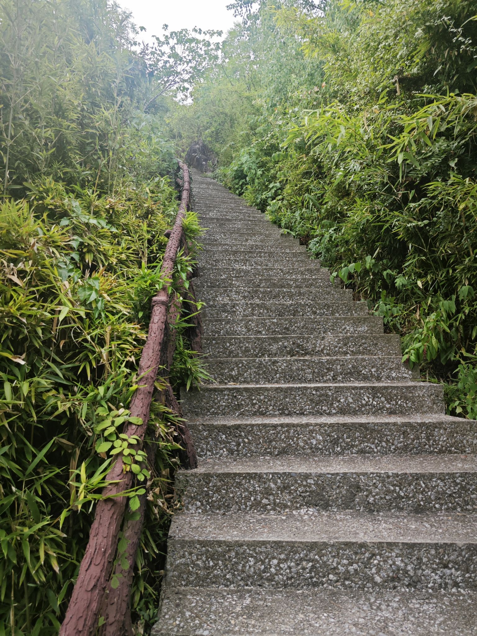 立仓湿地公园旅行图片 1