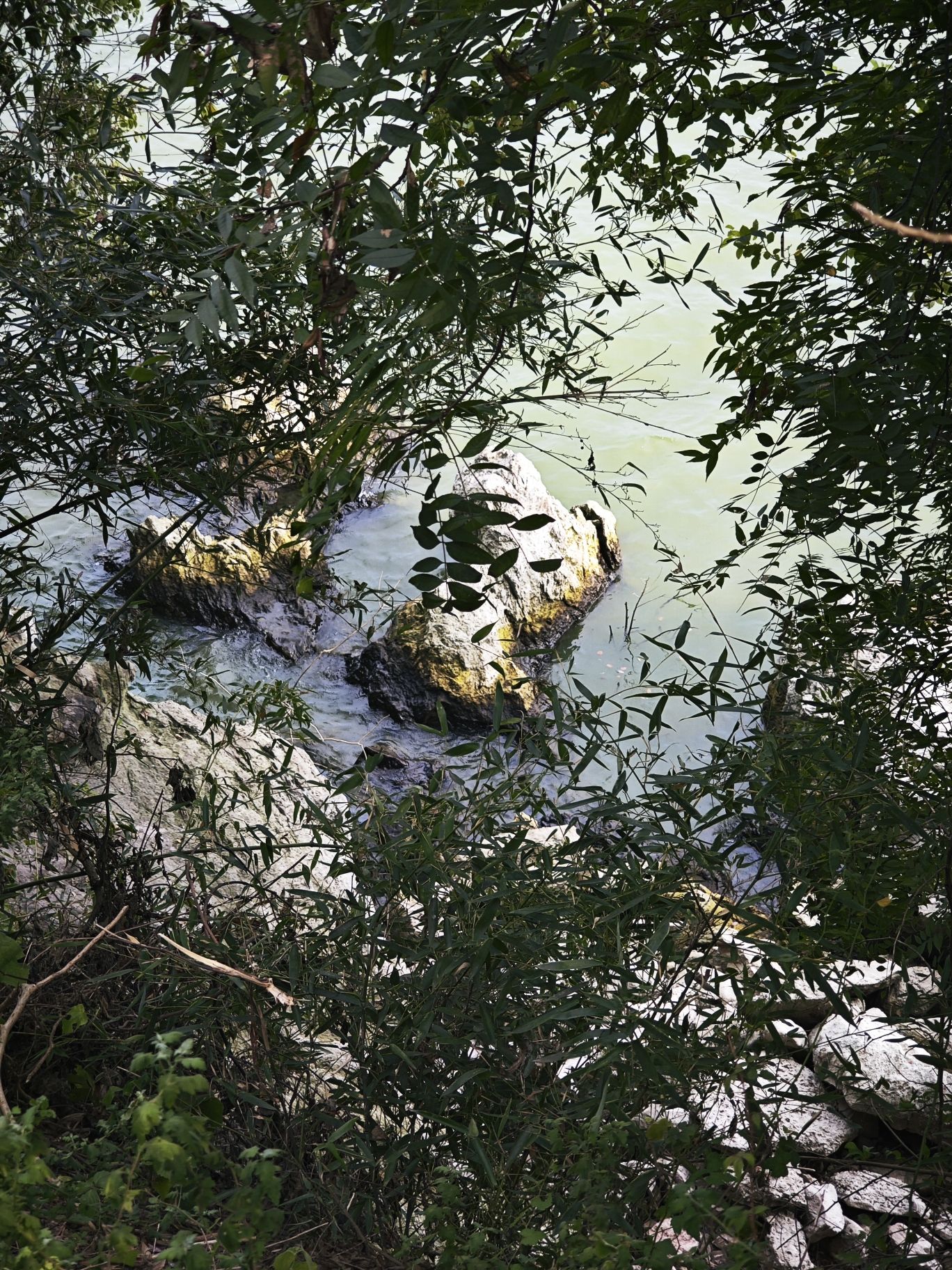 立仓湿地公园旅行图片 3