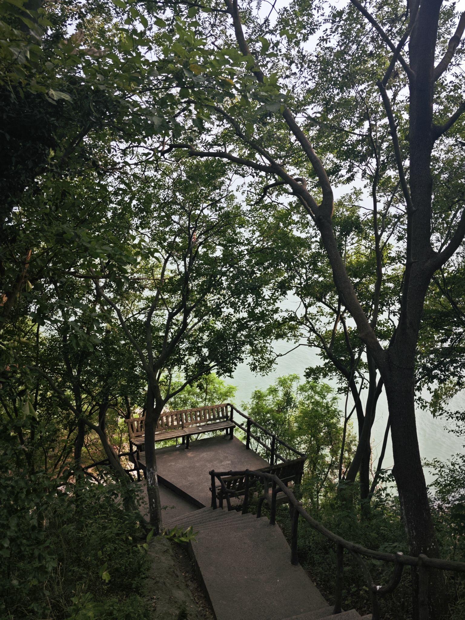 立仓湿地公园旅行图片 2