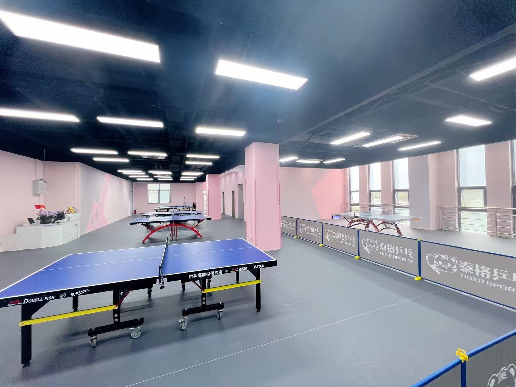 场地封面-泰格乒乓