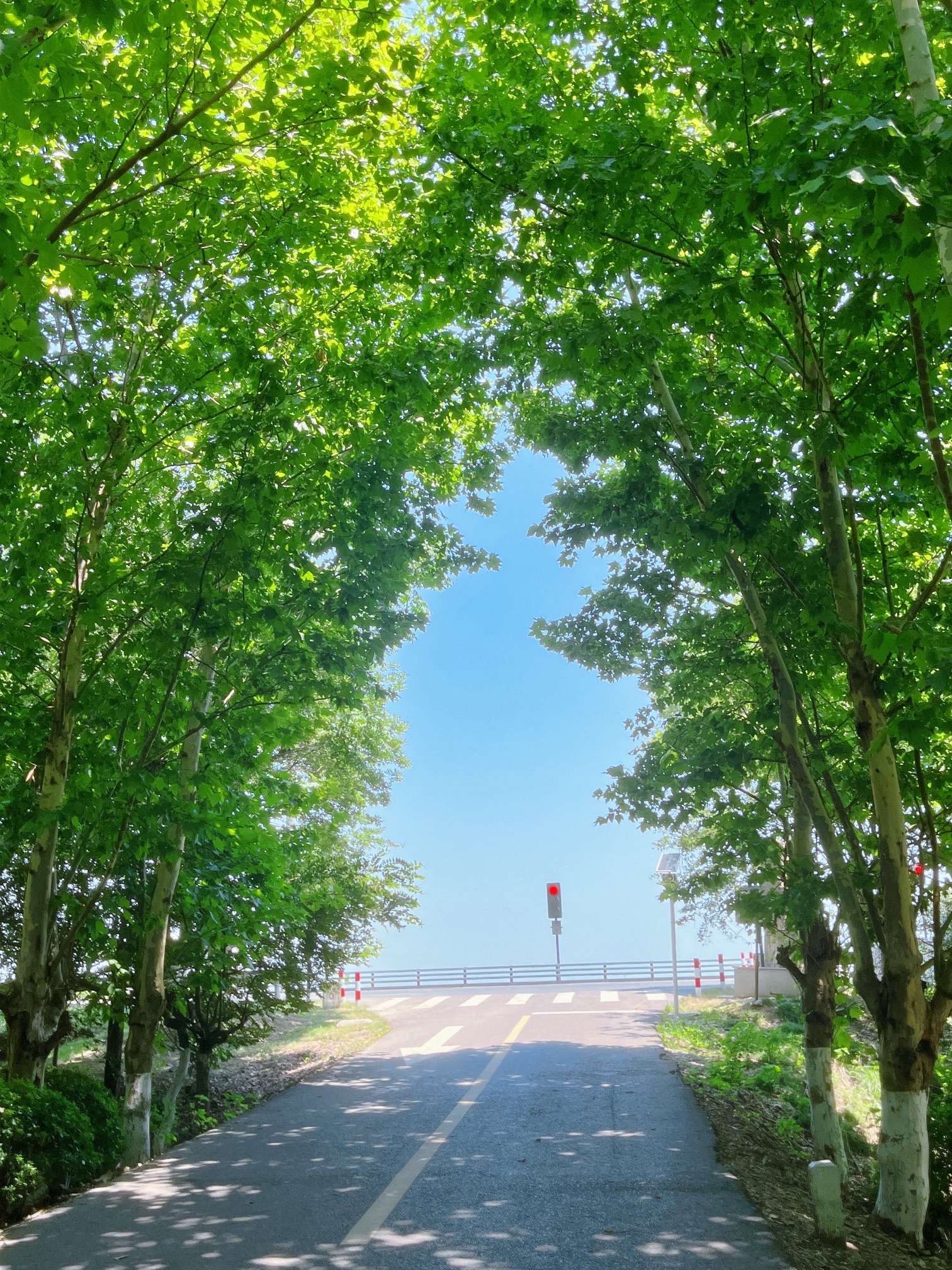 湖州小镰仓