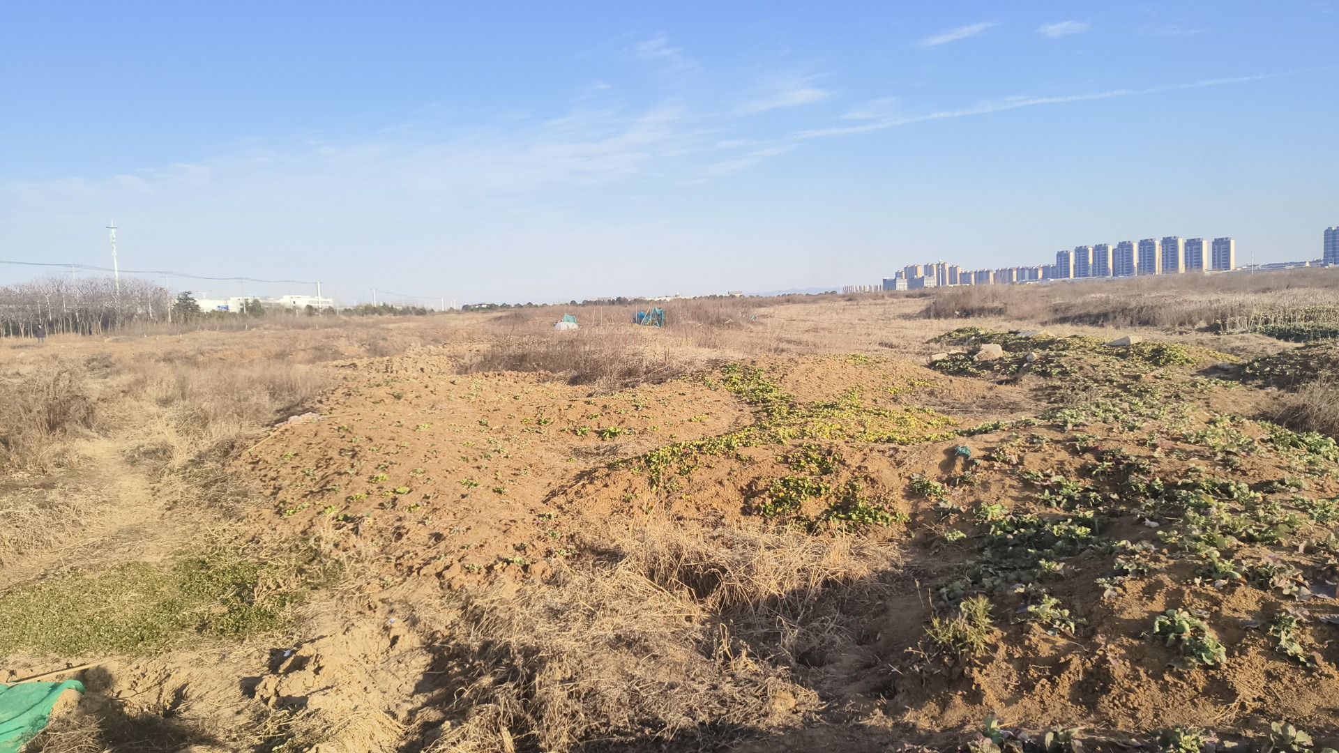 湿地公园旅行图片 3
