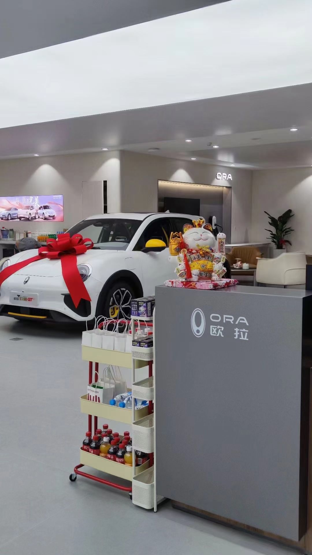长城汽车欧拉(厦门车印象店)