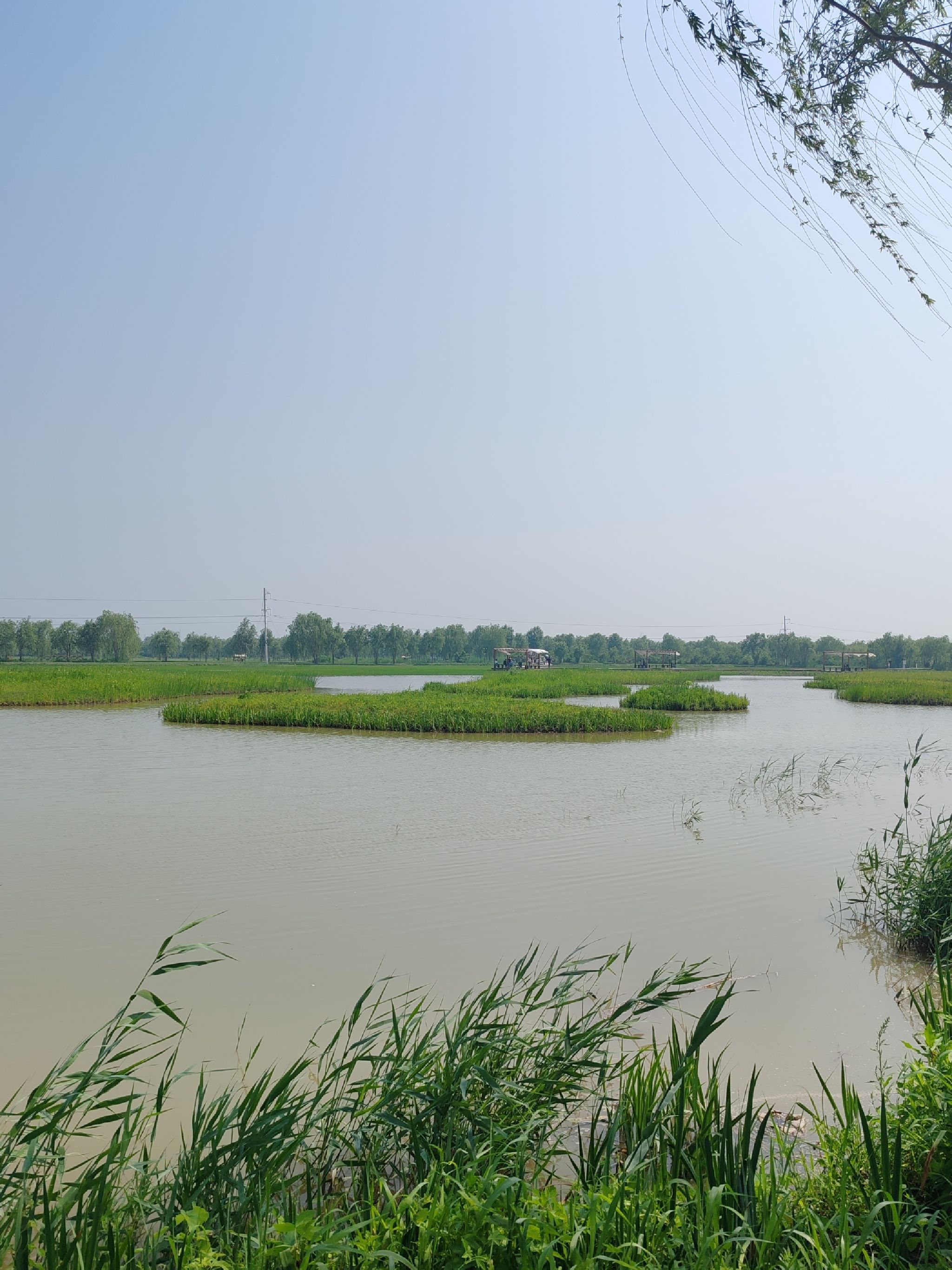 七星岛湿地风景区(暂停开放)旅行图片 2