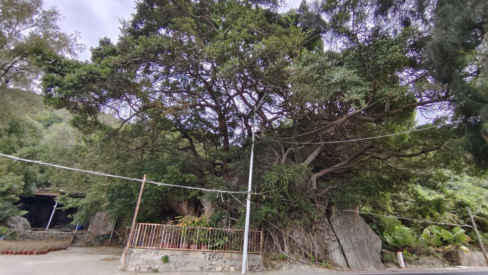 十里银滩旅行图片 3