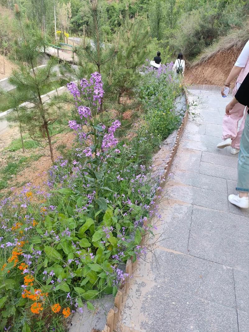 山西汾阳玄灵谷风景区旅行图片