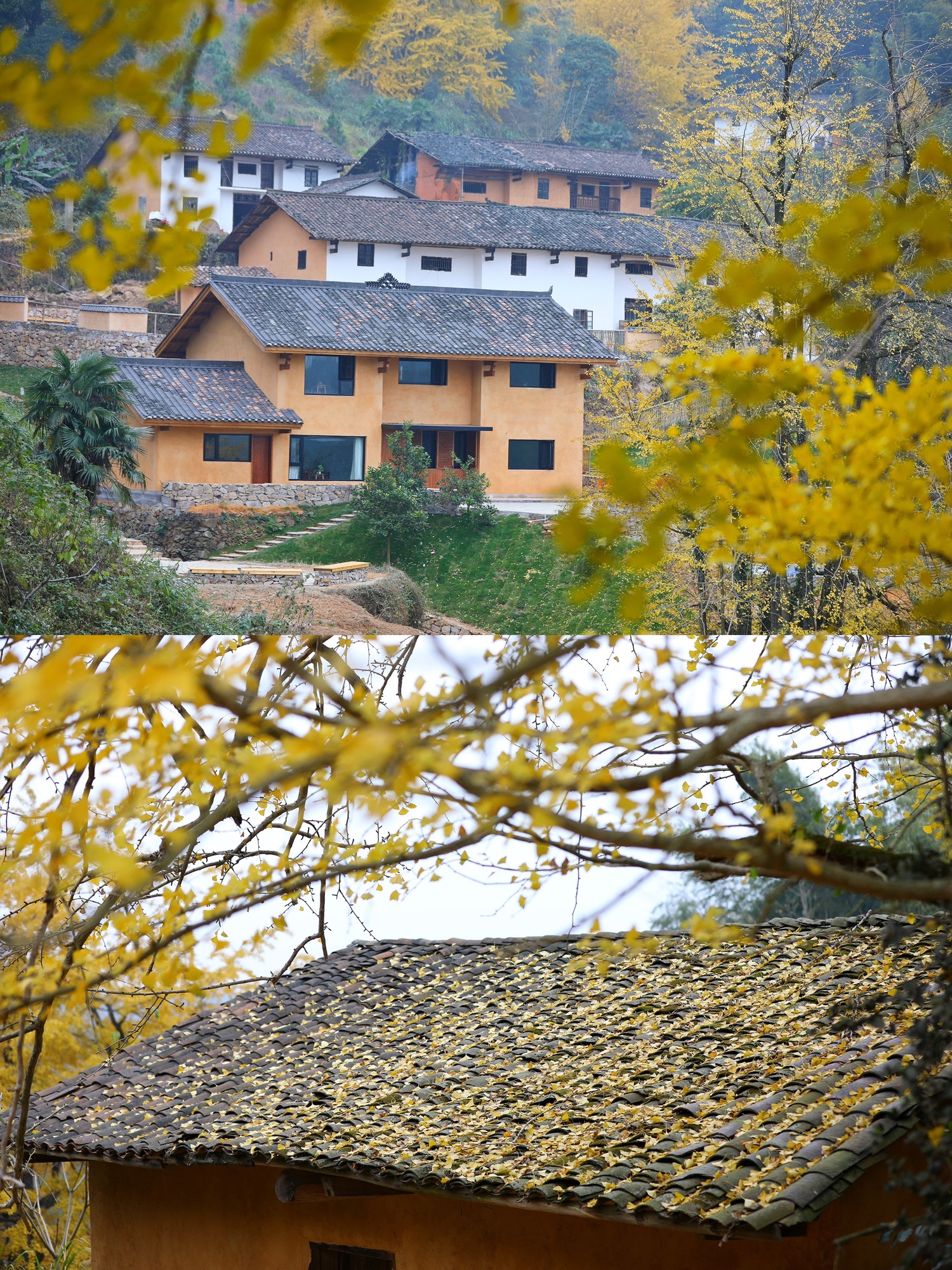 万安高岭宿集风景区旅行图片 3