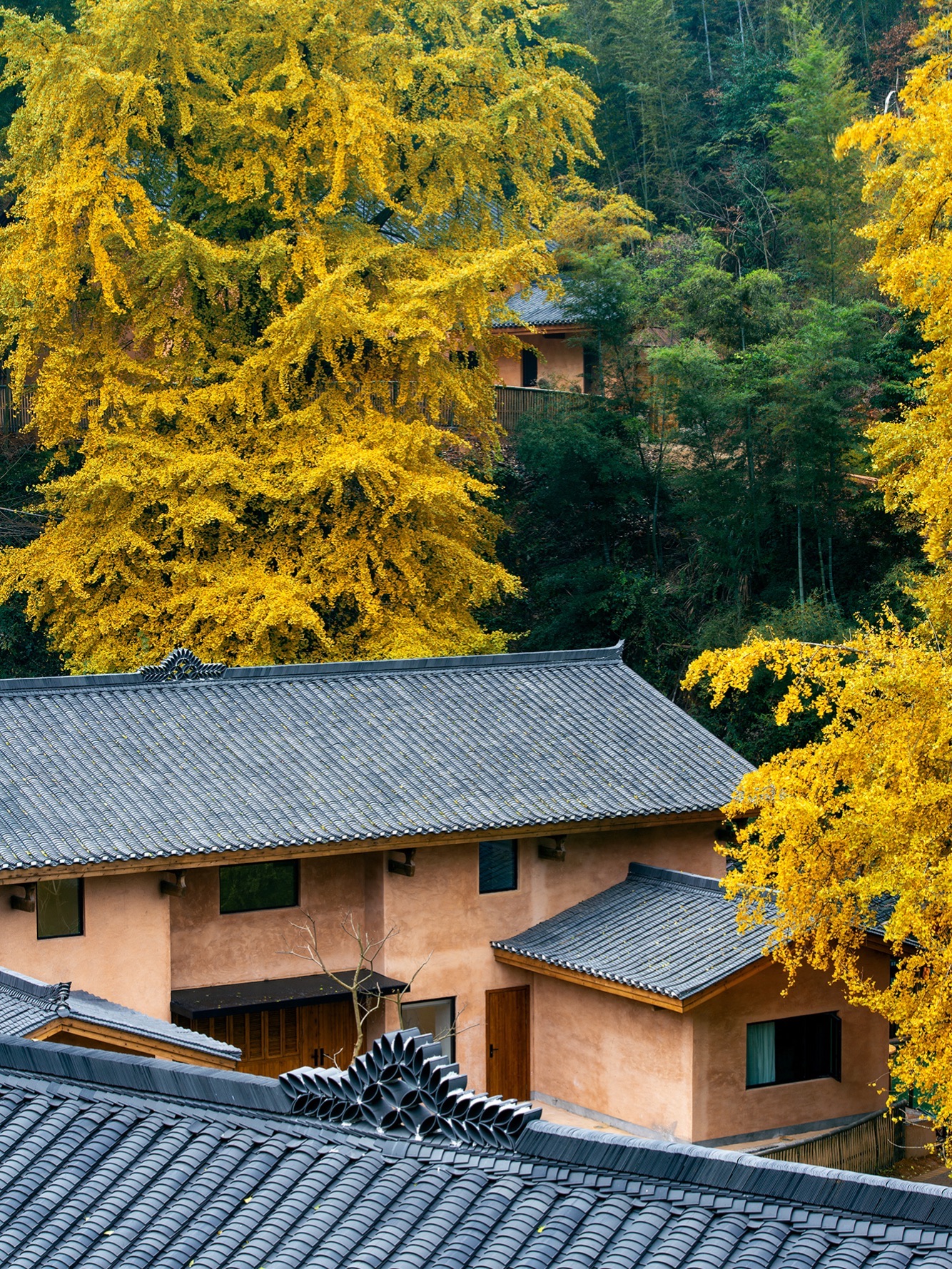 万安高岭宿集风景区旅行图片 1