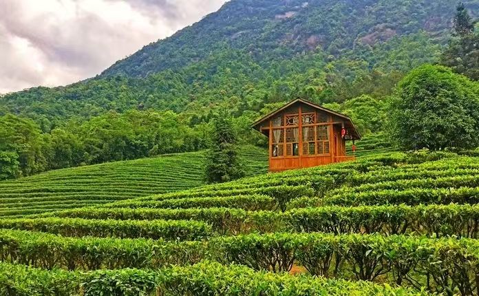 姑婆山旅游度假区旅行图片 1