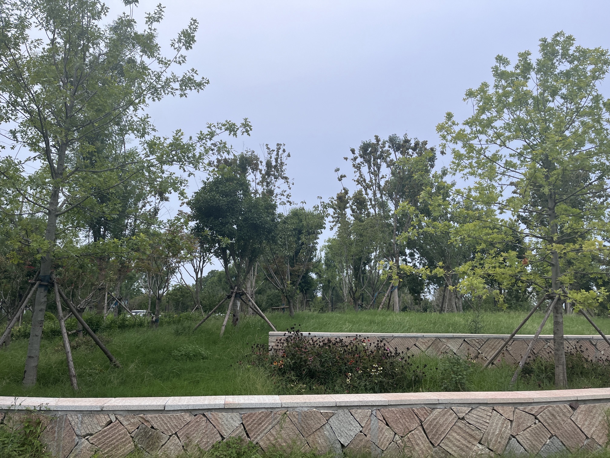 龙湖南坛公园旅行图片 2