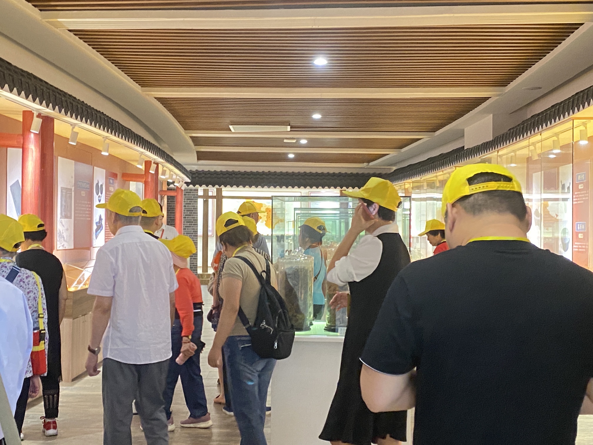 彭祖养生长寿基地旅行图片 2