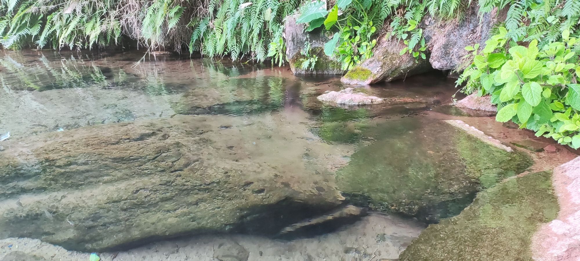 和谐泉湿地公园旅行图片 3