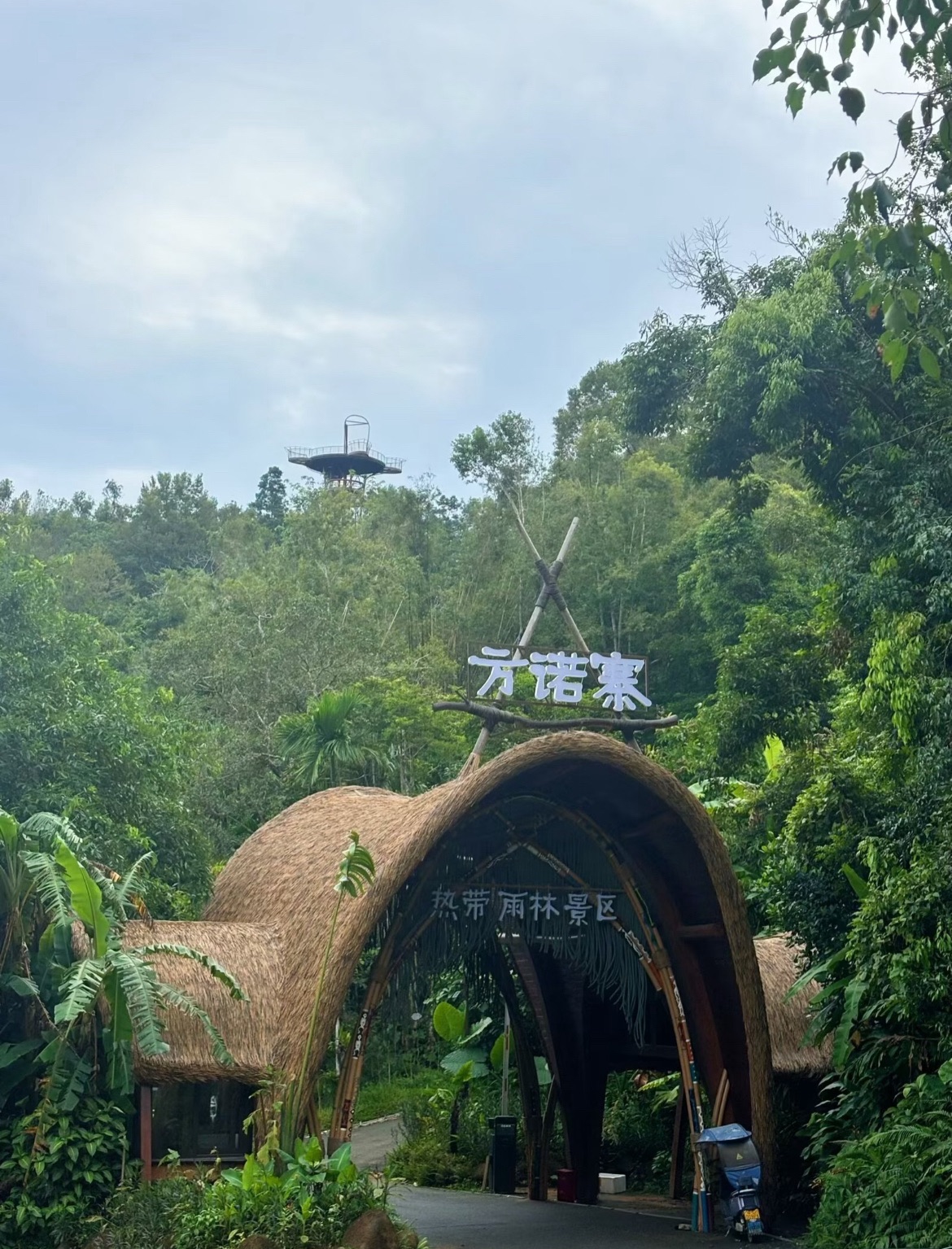 五指山方诺寨热带雨林景区