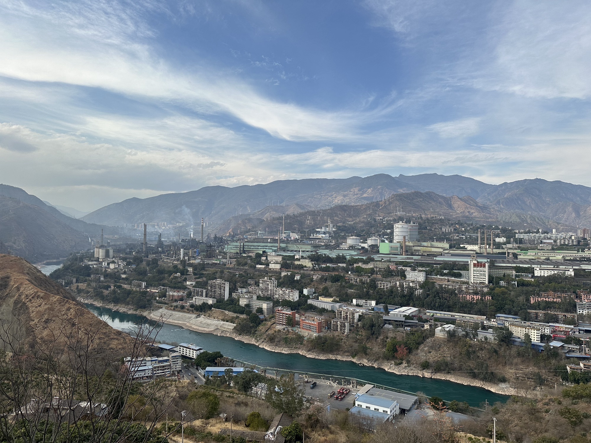 南山一棵树旅行图片 1