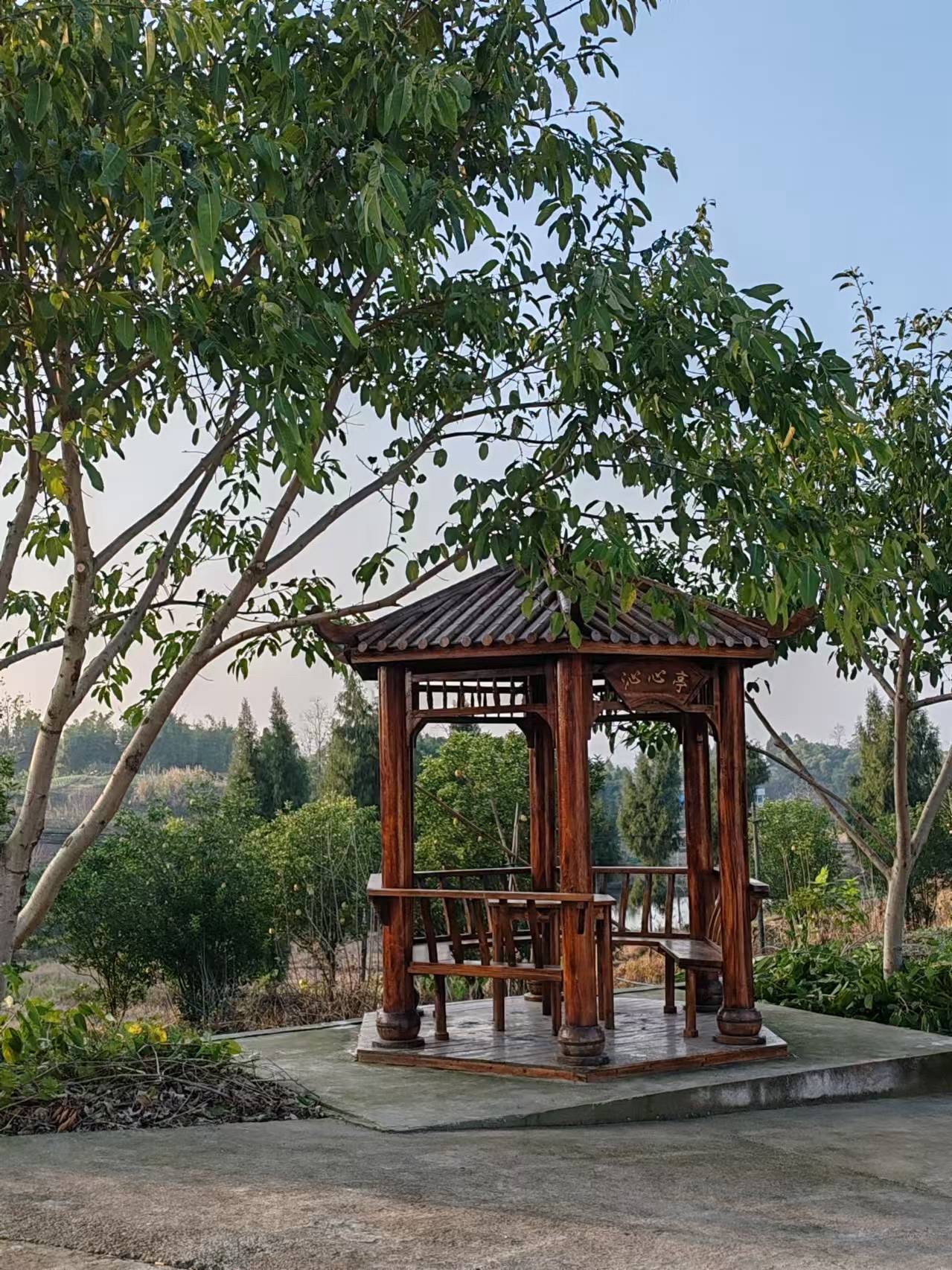 沁心亭旅行图片 1