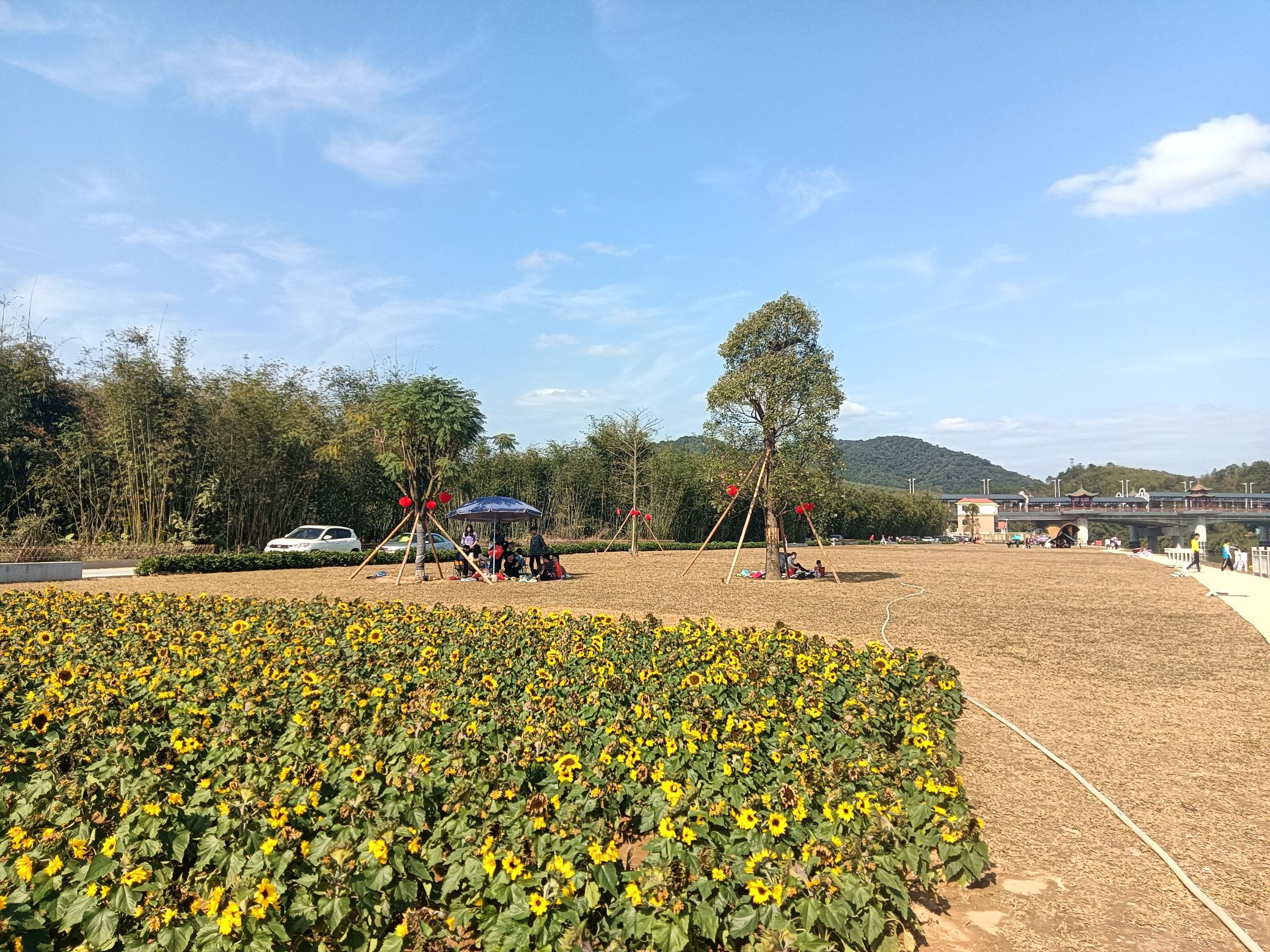 滨江廊道旅行图片 3