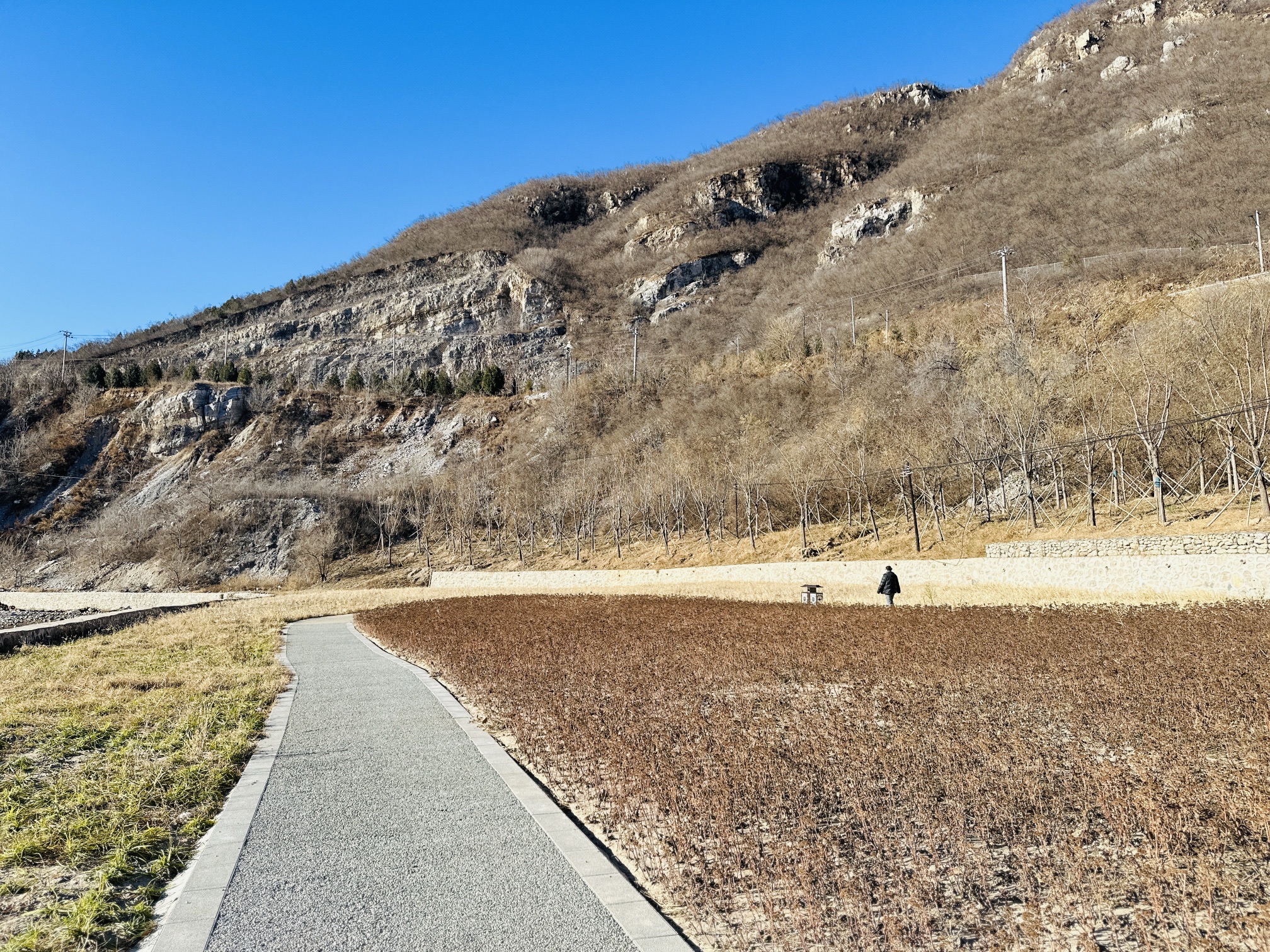 桃峪口沟徒步公园旅行图片 2