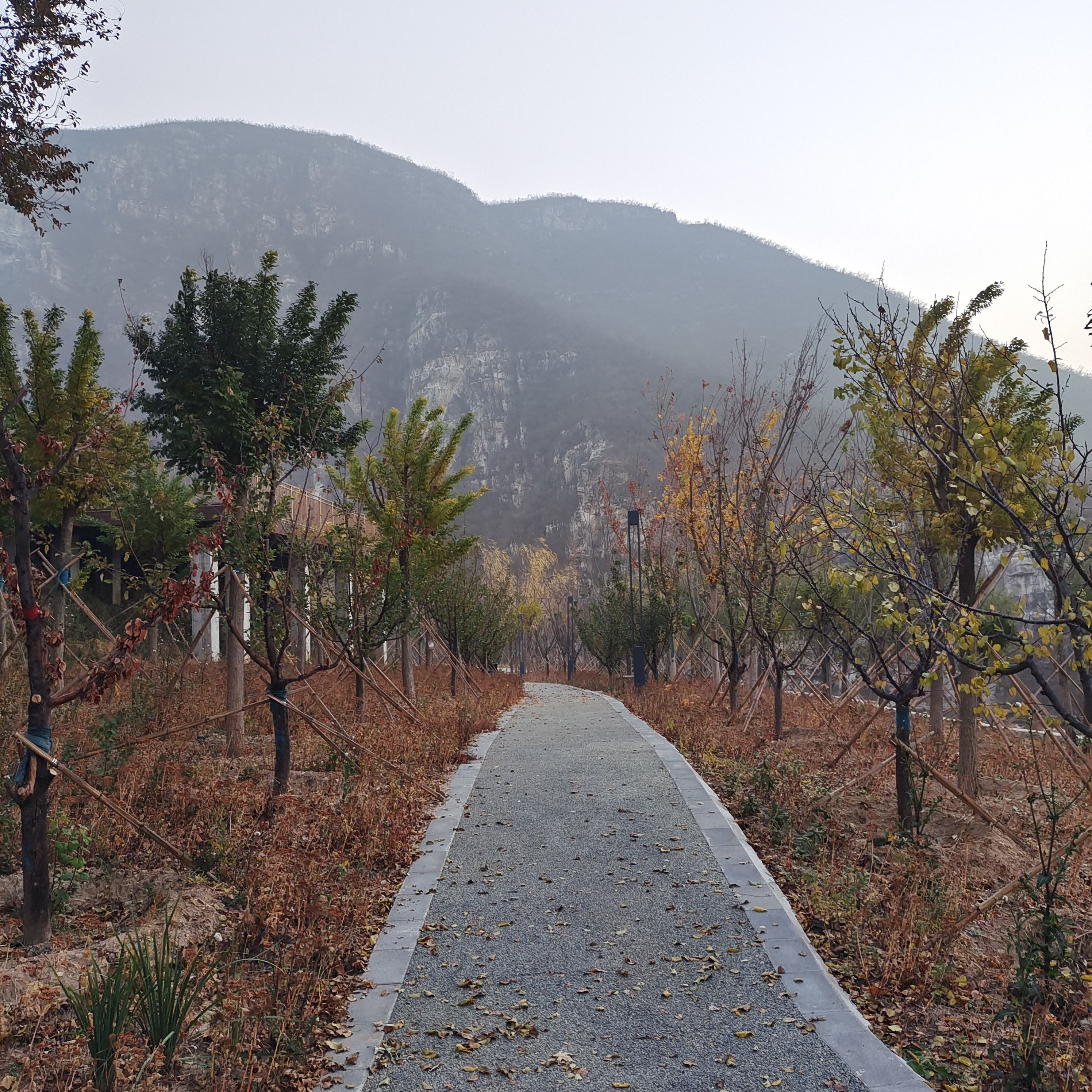 桃峪口沟徒步公园旅行图片 3