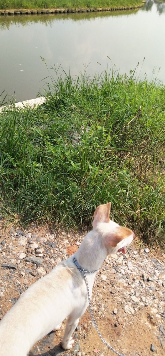 平水桥旅行图片 2