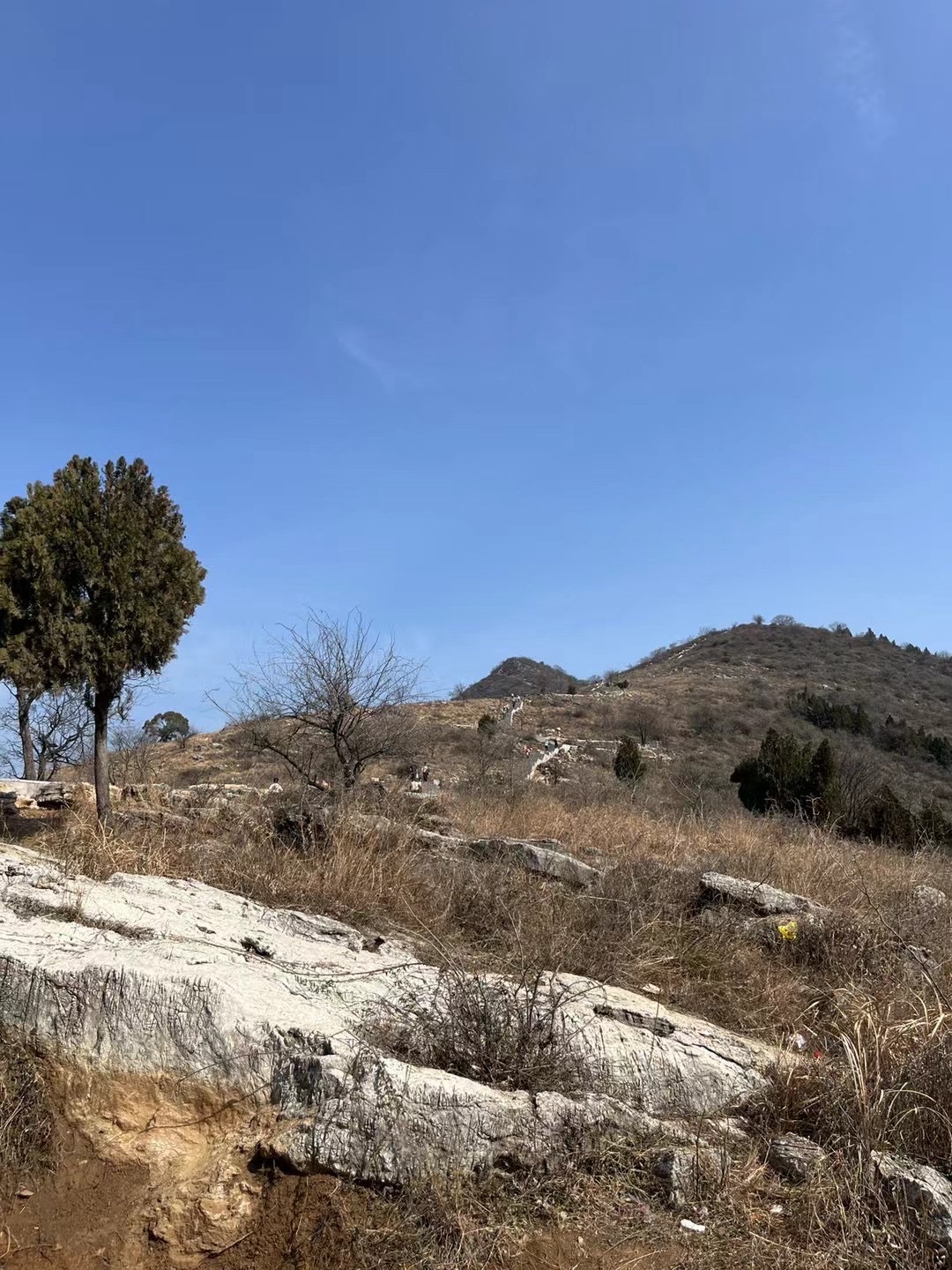 汤山步道旅行图片 3