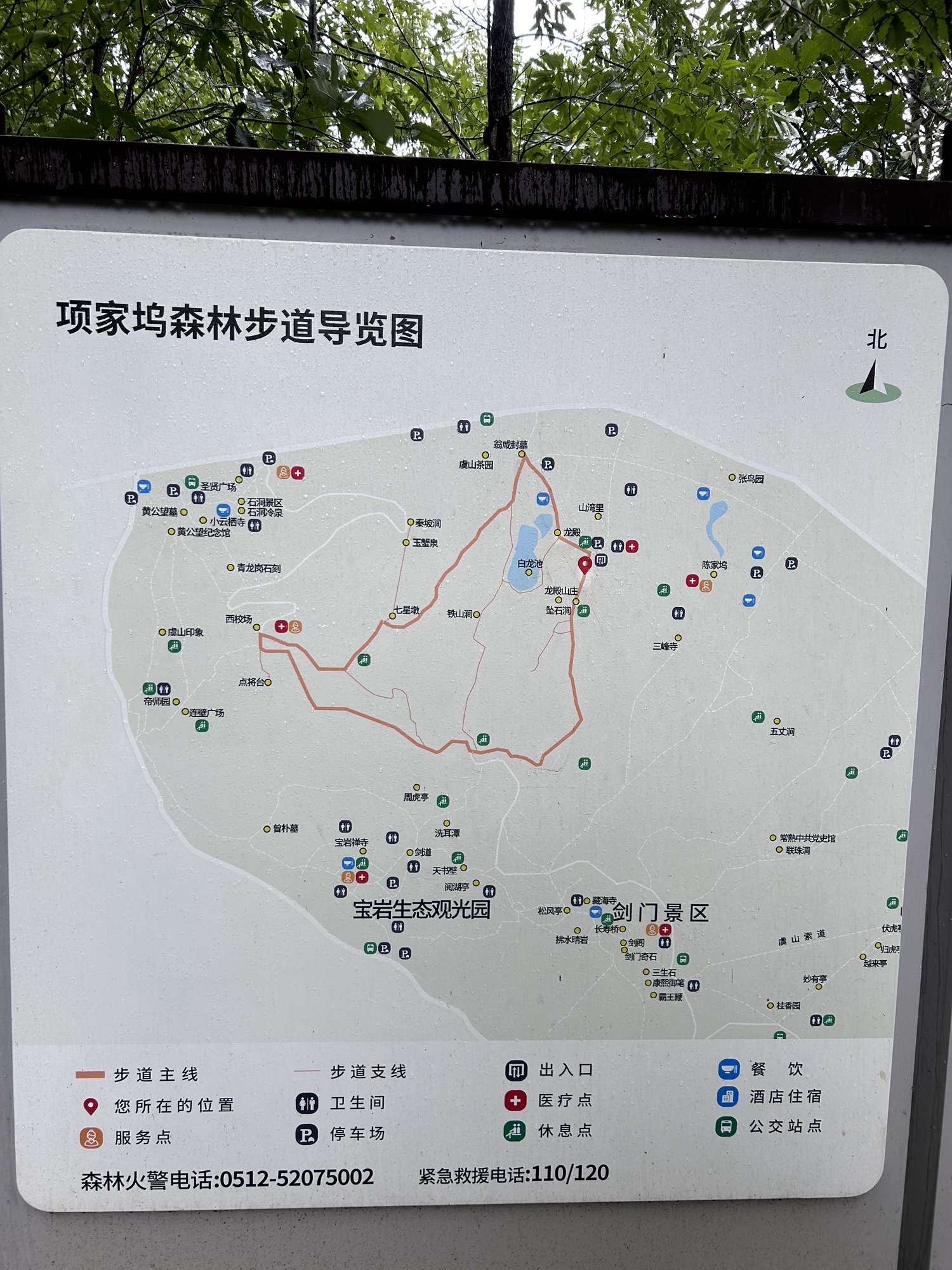 项家坞森林步道旅行图片 1