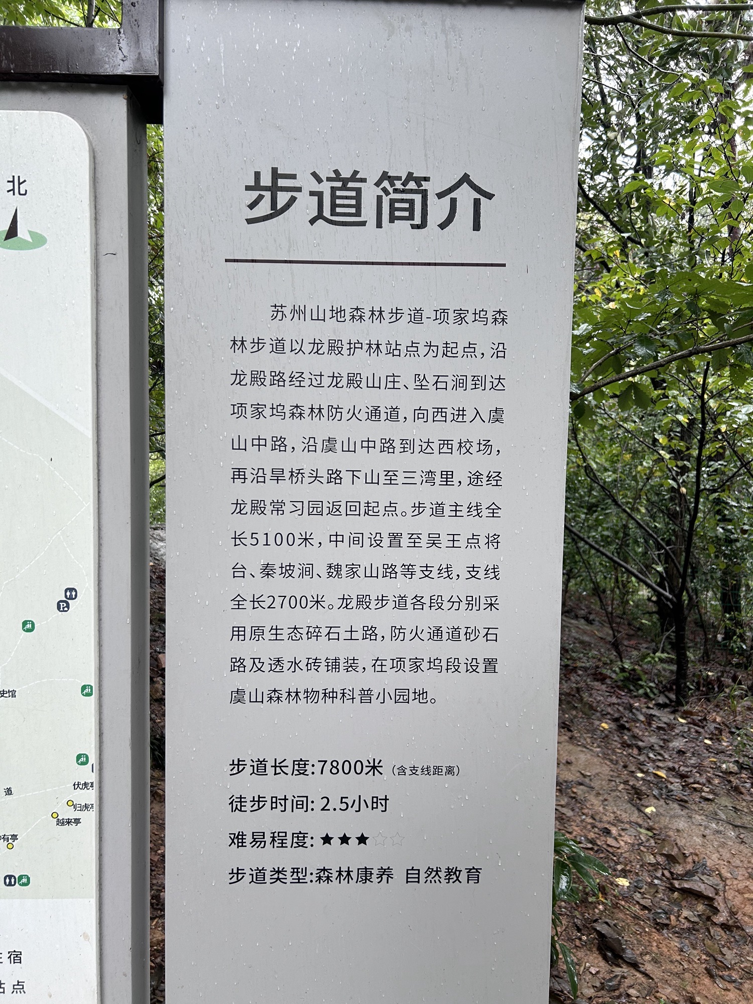 项家坞森林步道旅行图片 2
