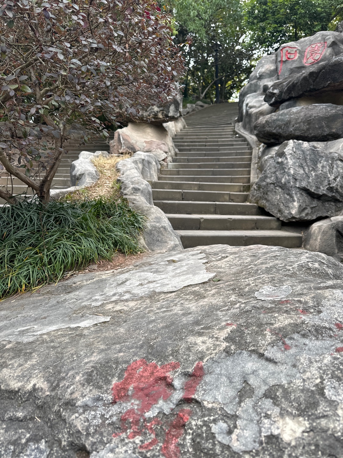 石园旅行图片 2