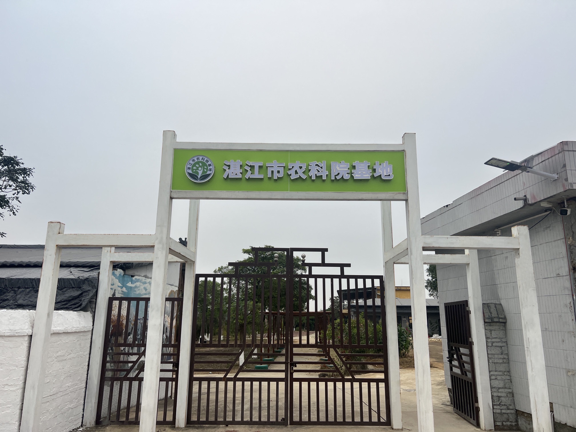 湛江市农科院基地