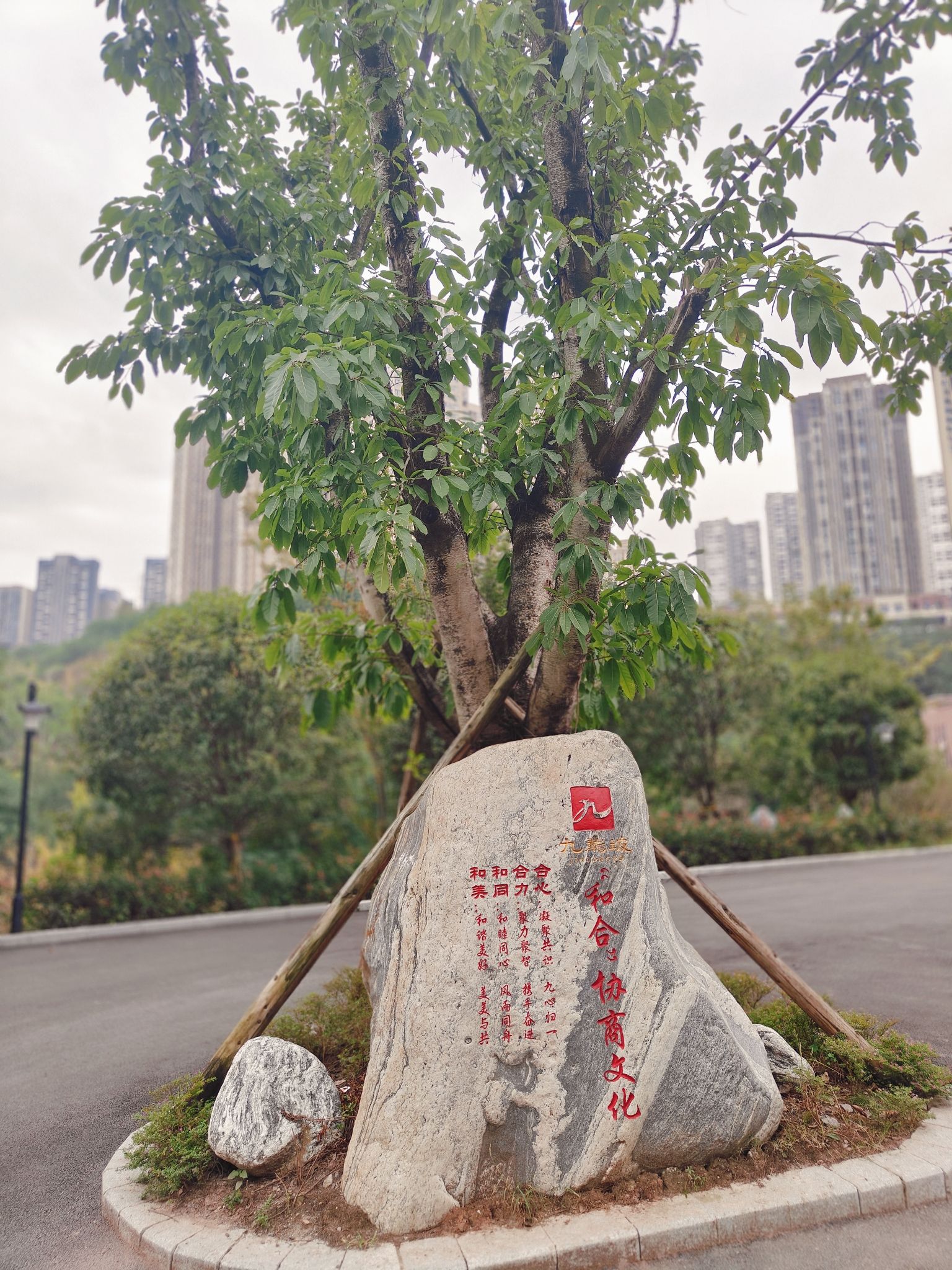 九龙坡区协商文化公园旅行图片 3