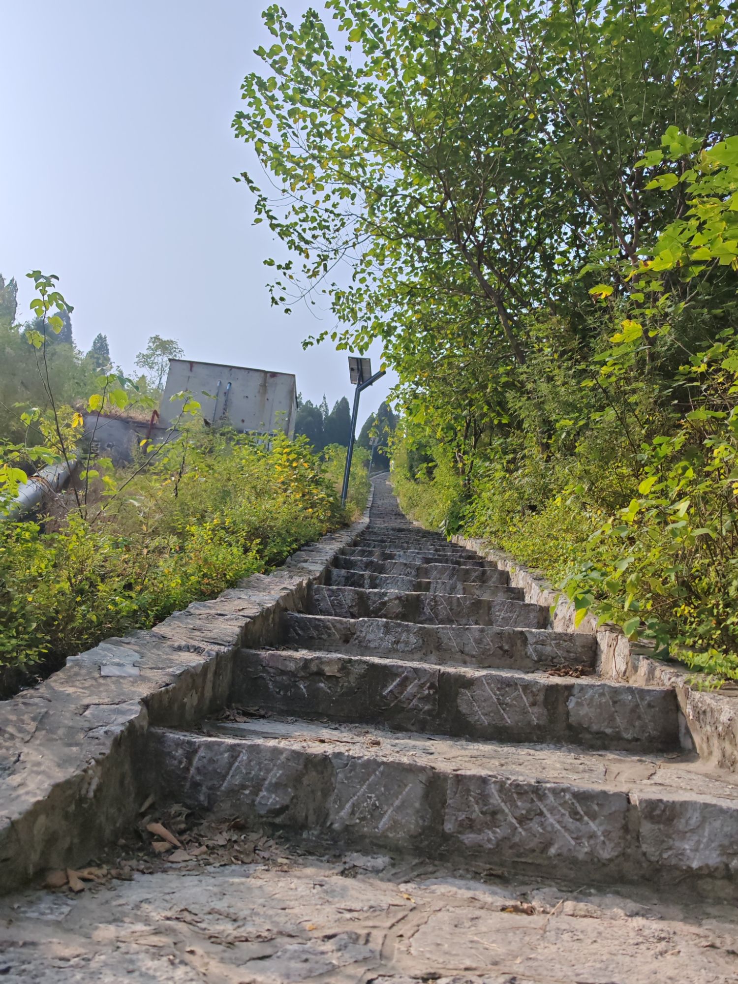 青峰山西入口公园旅行图片 3