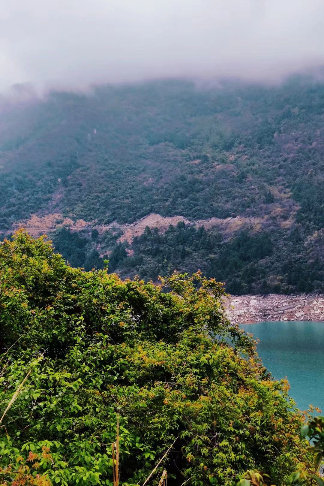 涪江六峡观景台旅行图片 3
