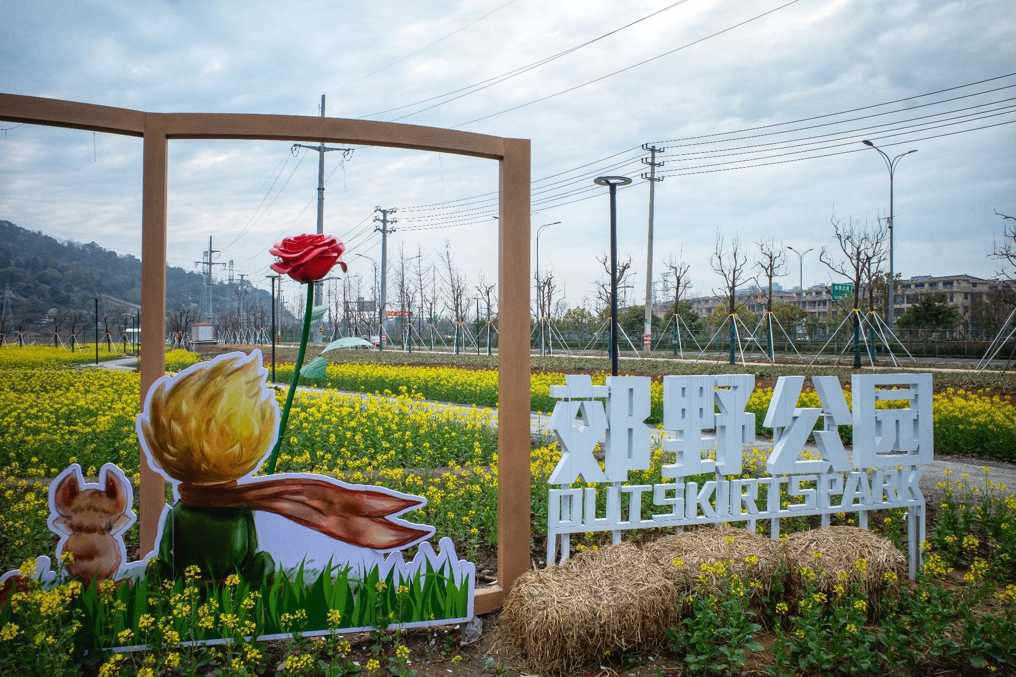 黄岩生态农业田园旅行图片 1
