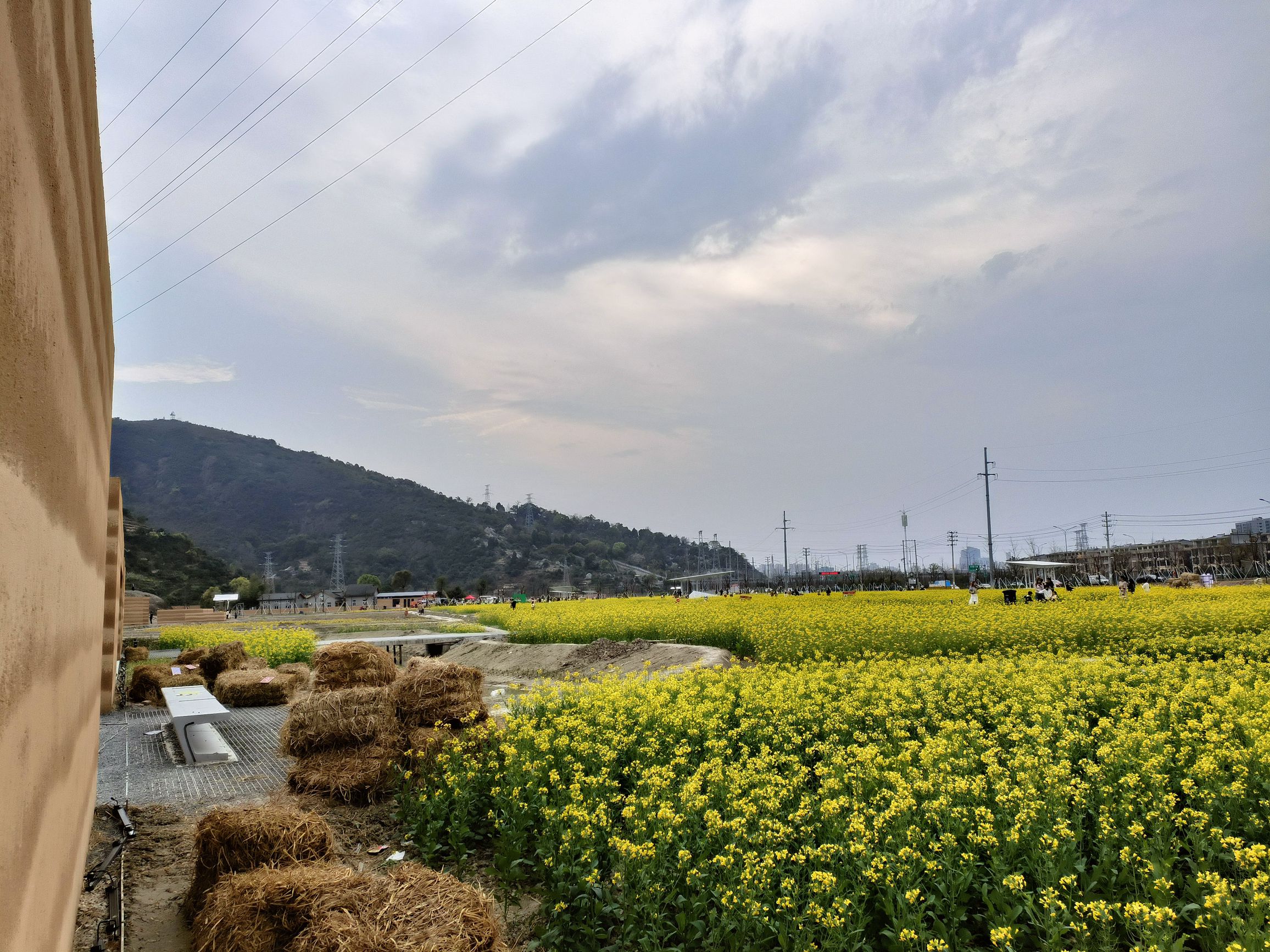 黄岩生态农业田园旅行图片 3