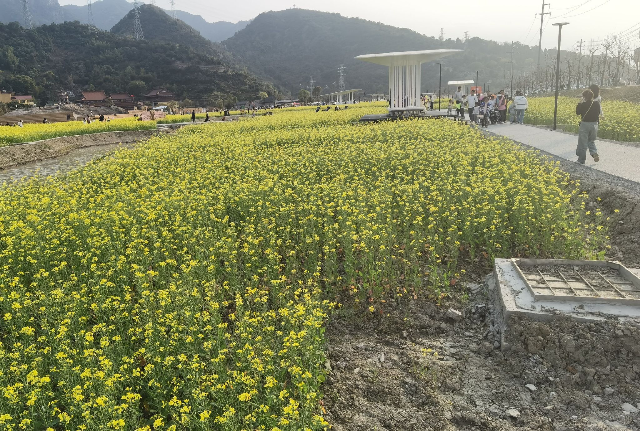黄岩生态农业田园旅行图片 3